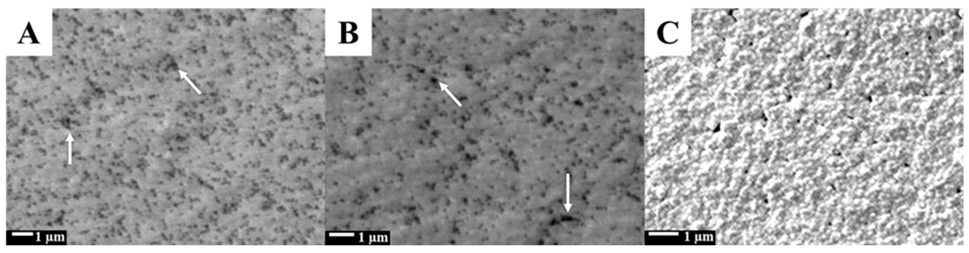 Biosensors 14 00485 g002
