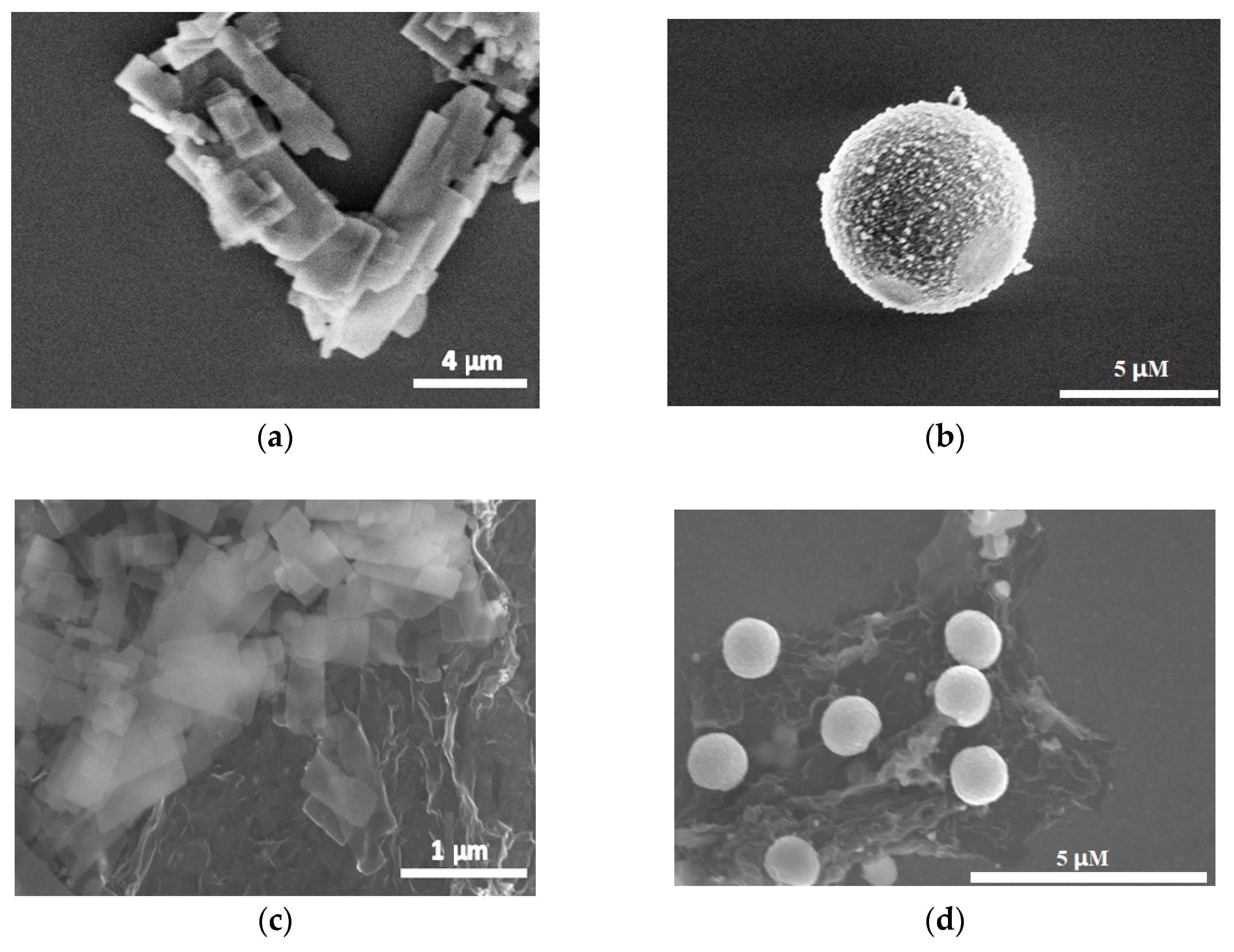 Biosensors 14 00488 g001