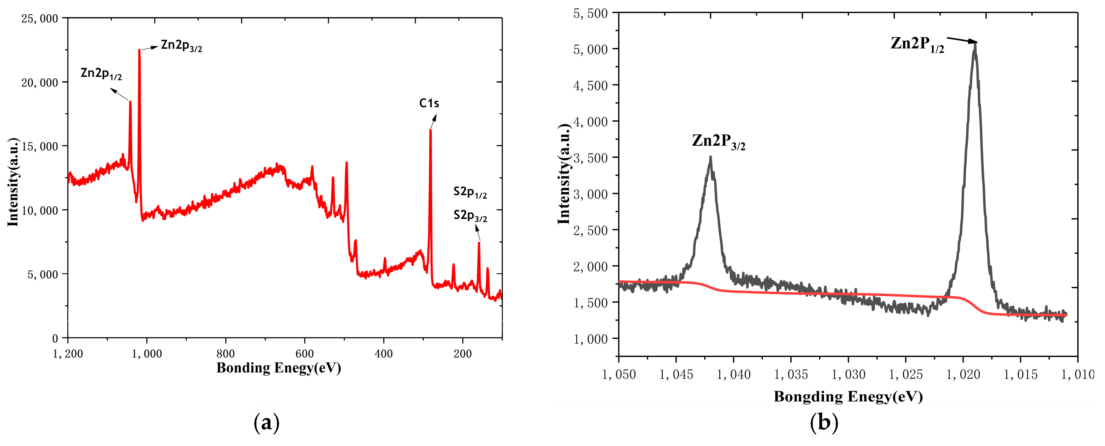 Biosensors 14 00488 g006a