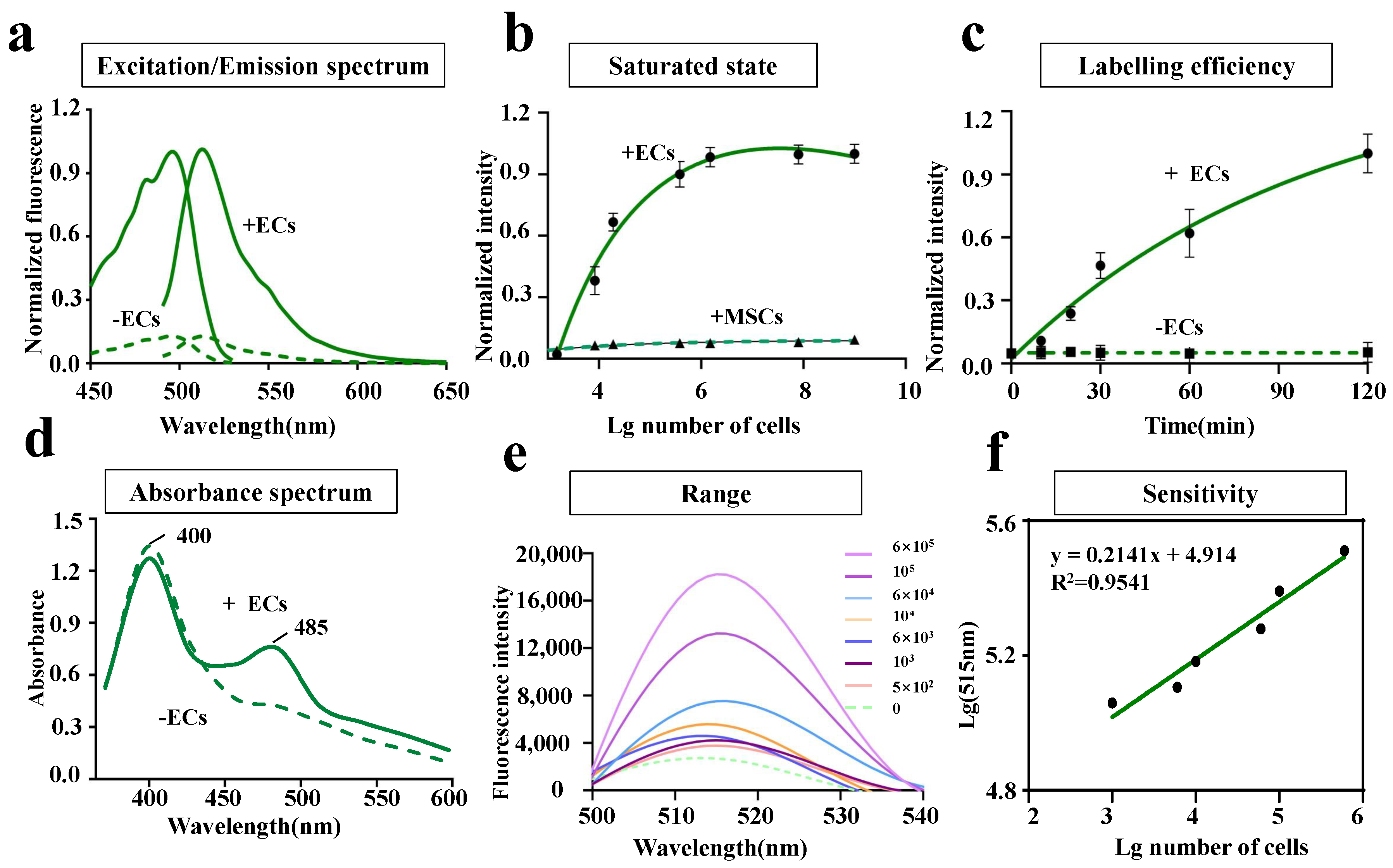 Biosensors 14 00489 g002