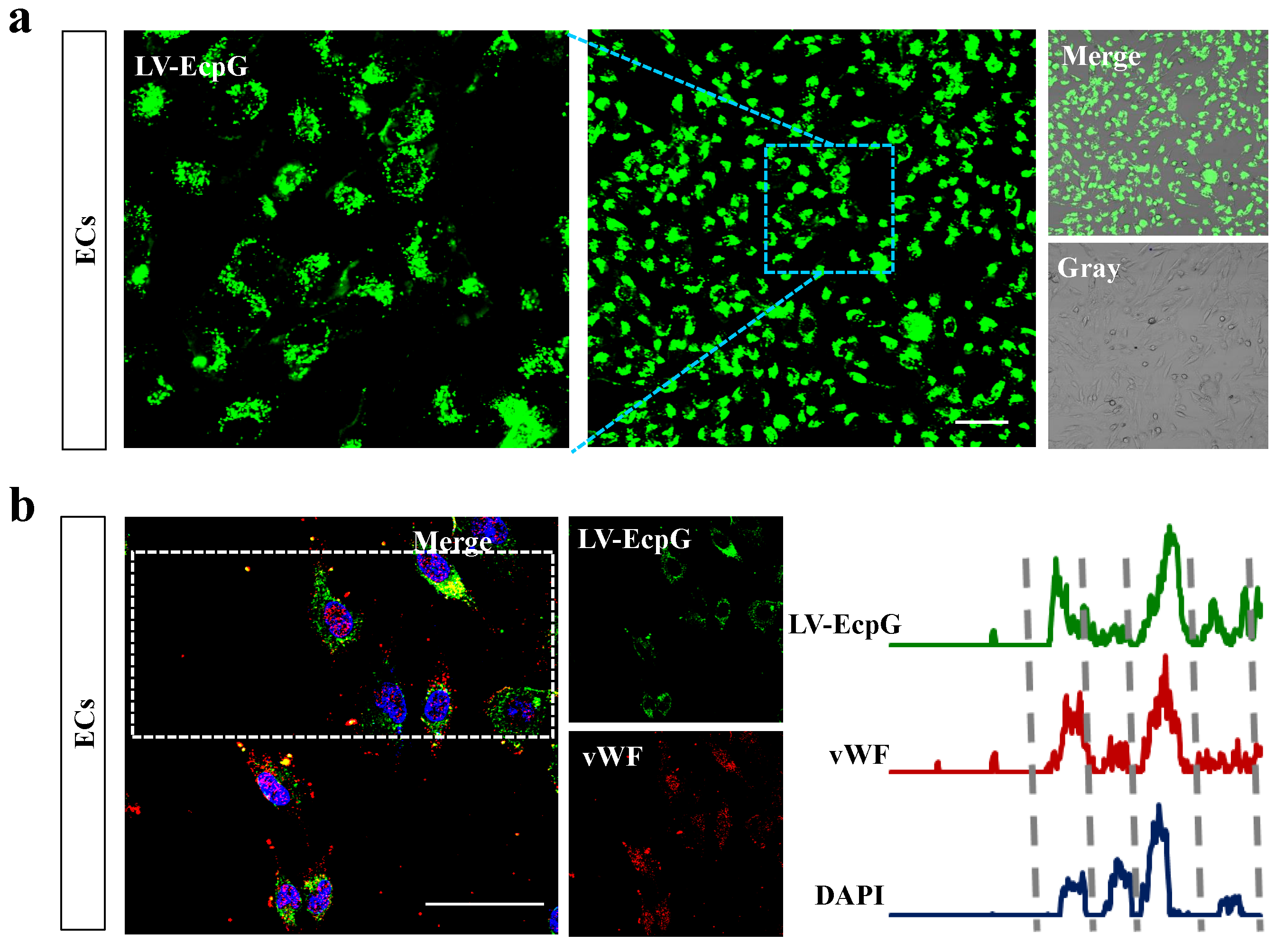 Biosensors 14 00489 g003