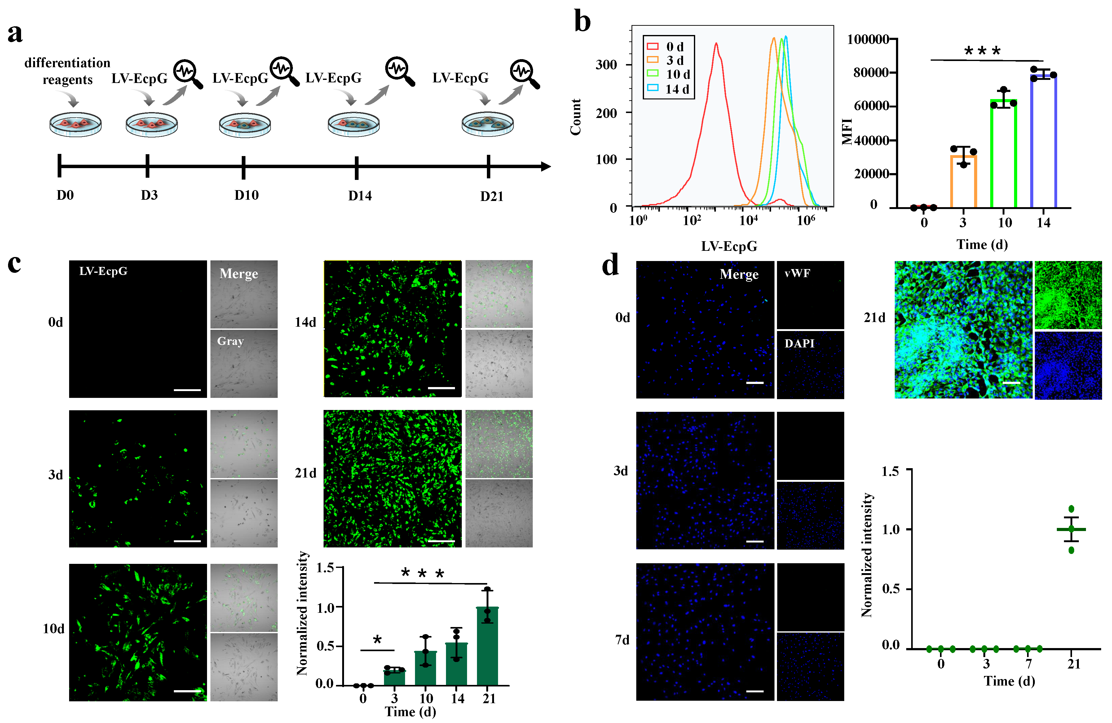 Biosensors 14 00489 g005