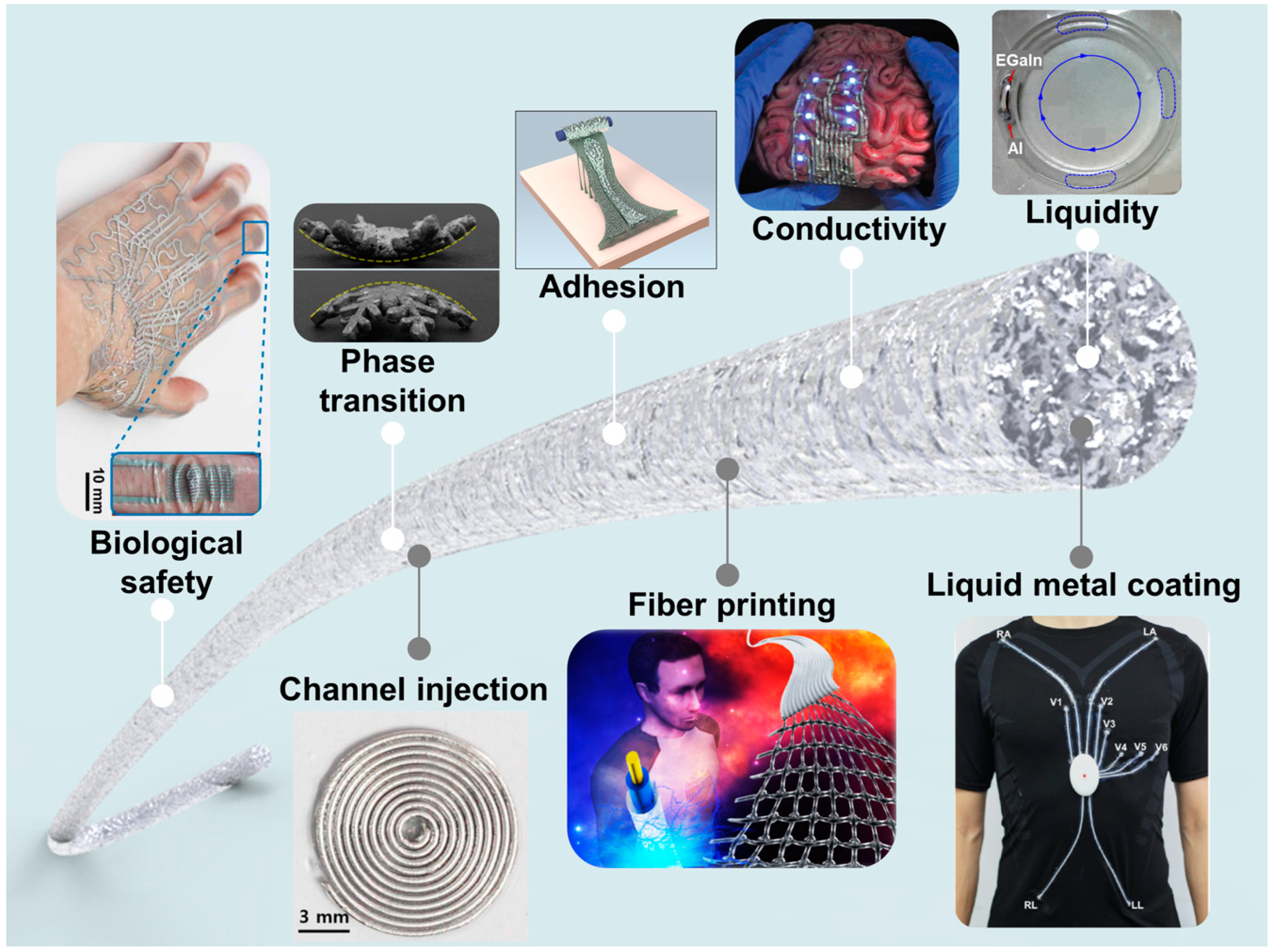 Biosensors 14 00490 g001
