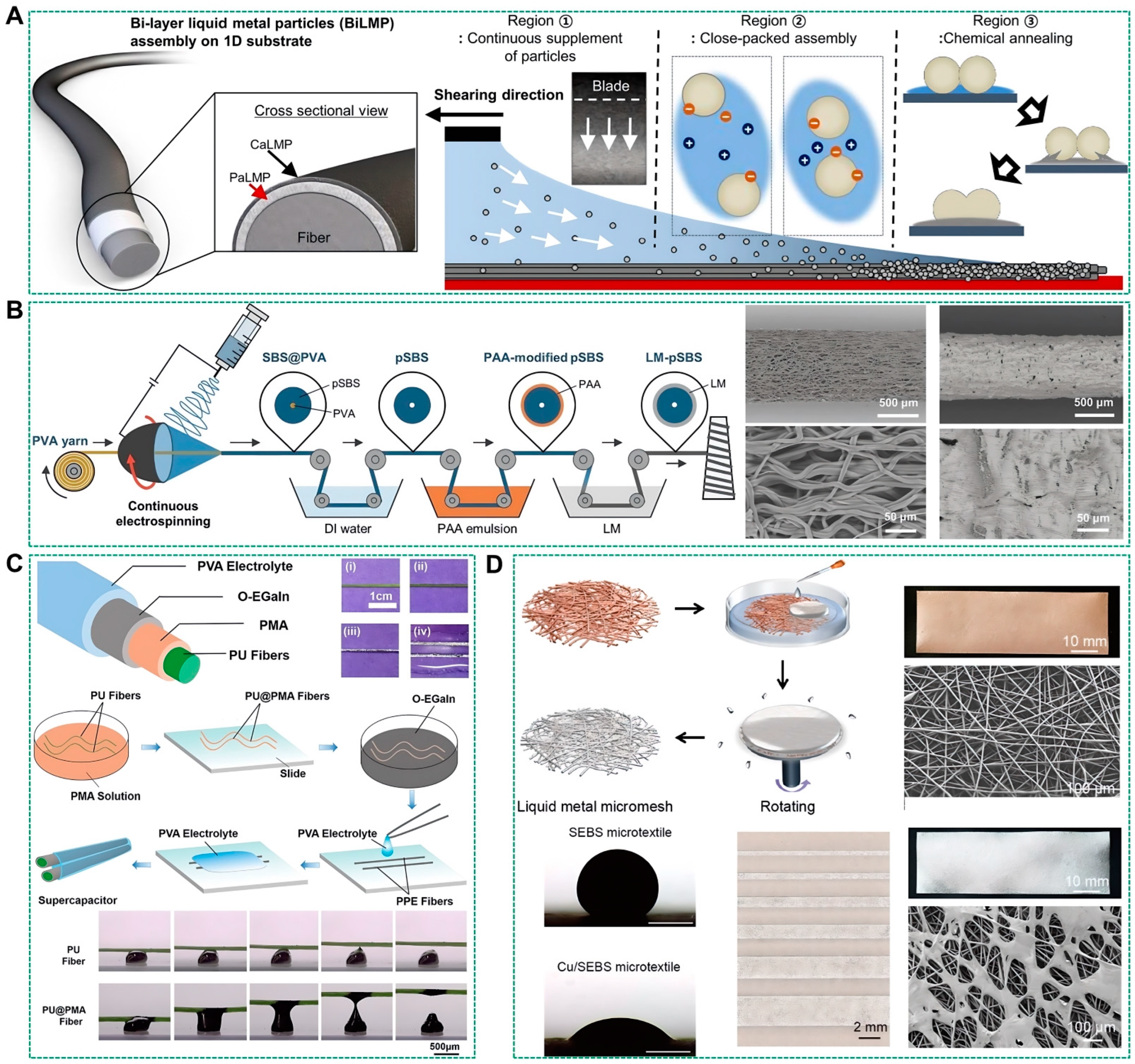 Biosensors 14 00490 g005
