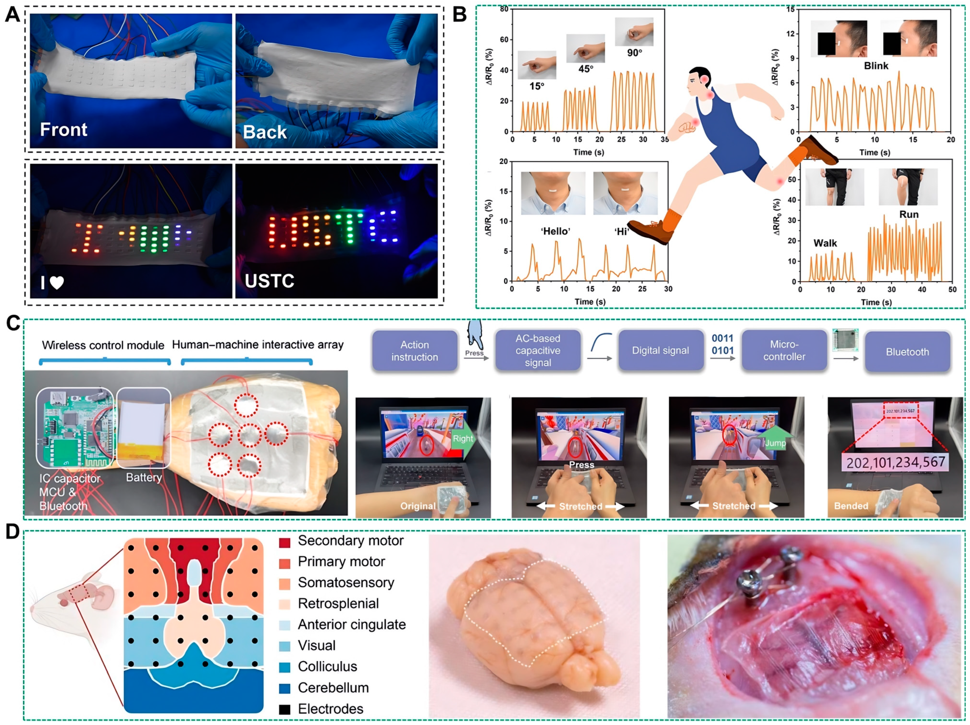 Biosensors 14 00490 g008