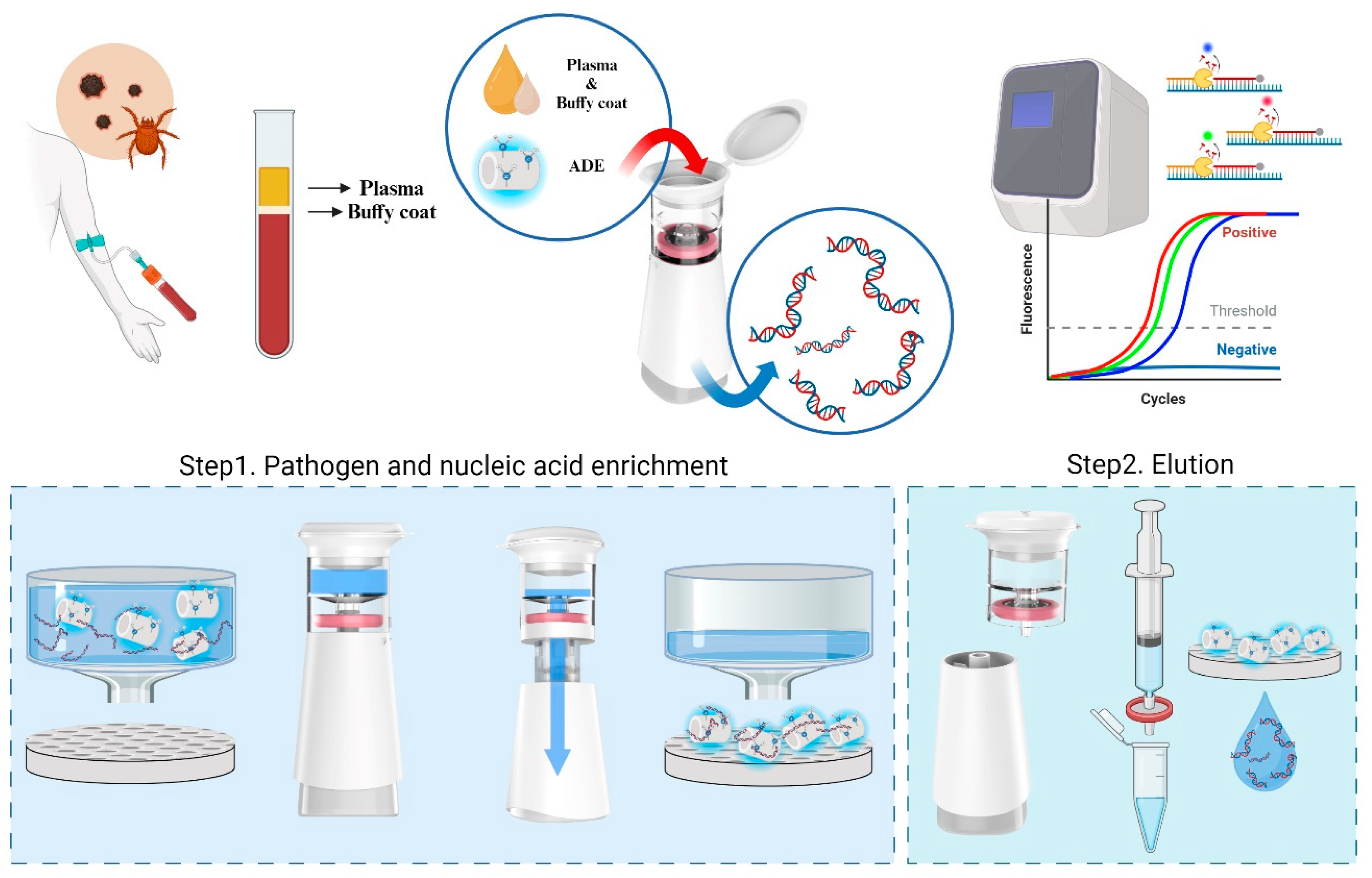 Biosensors 14 00493 g001