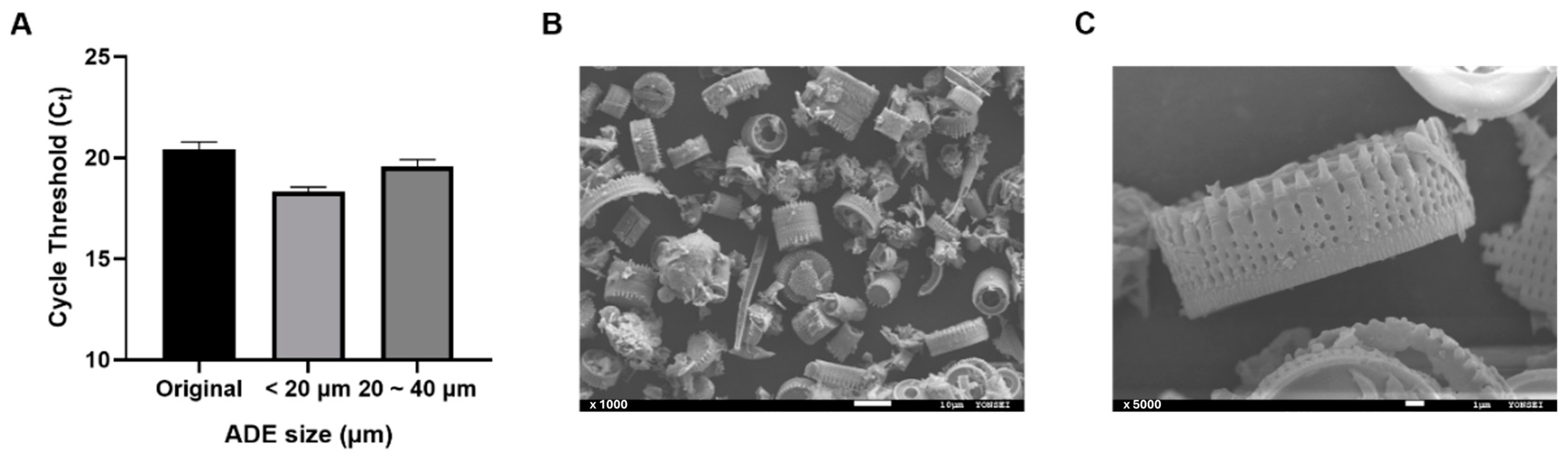 Biosensors 14 00493 g002