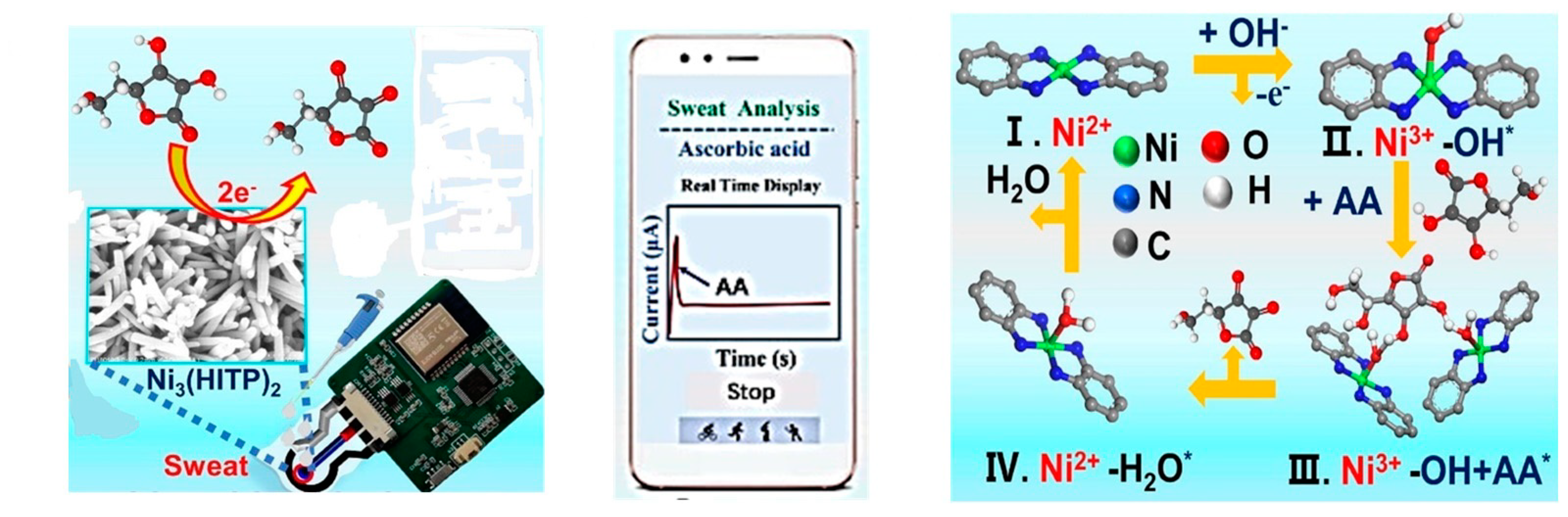Biosensors 14 00495 g005