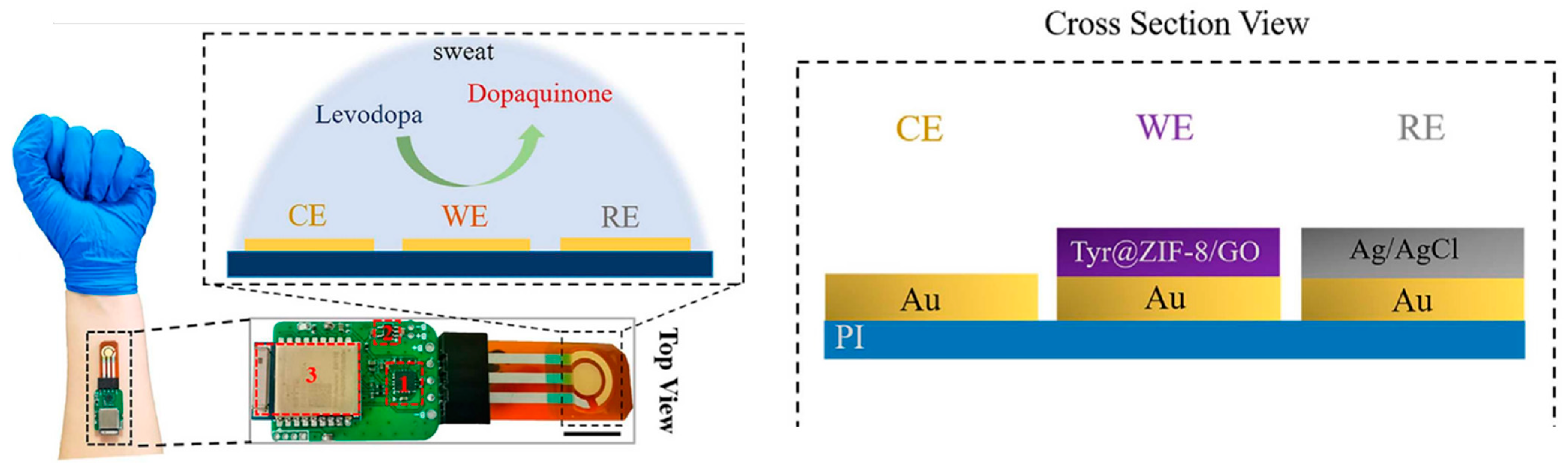 Biosensors 14 00495 g007