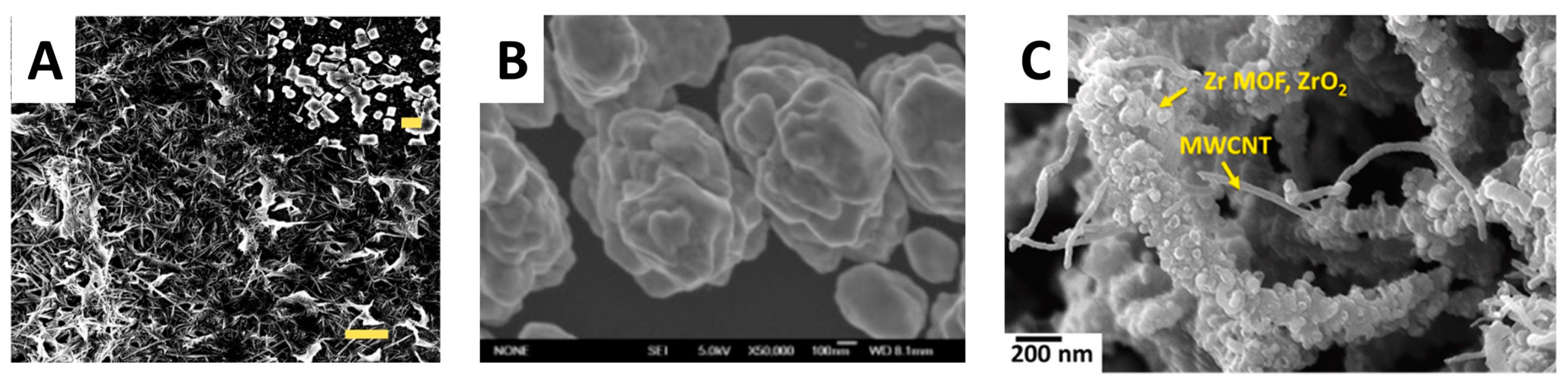 Biosensors 14 00496 g010