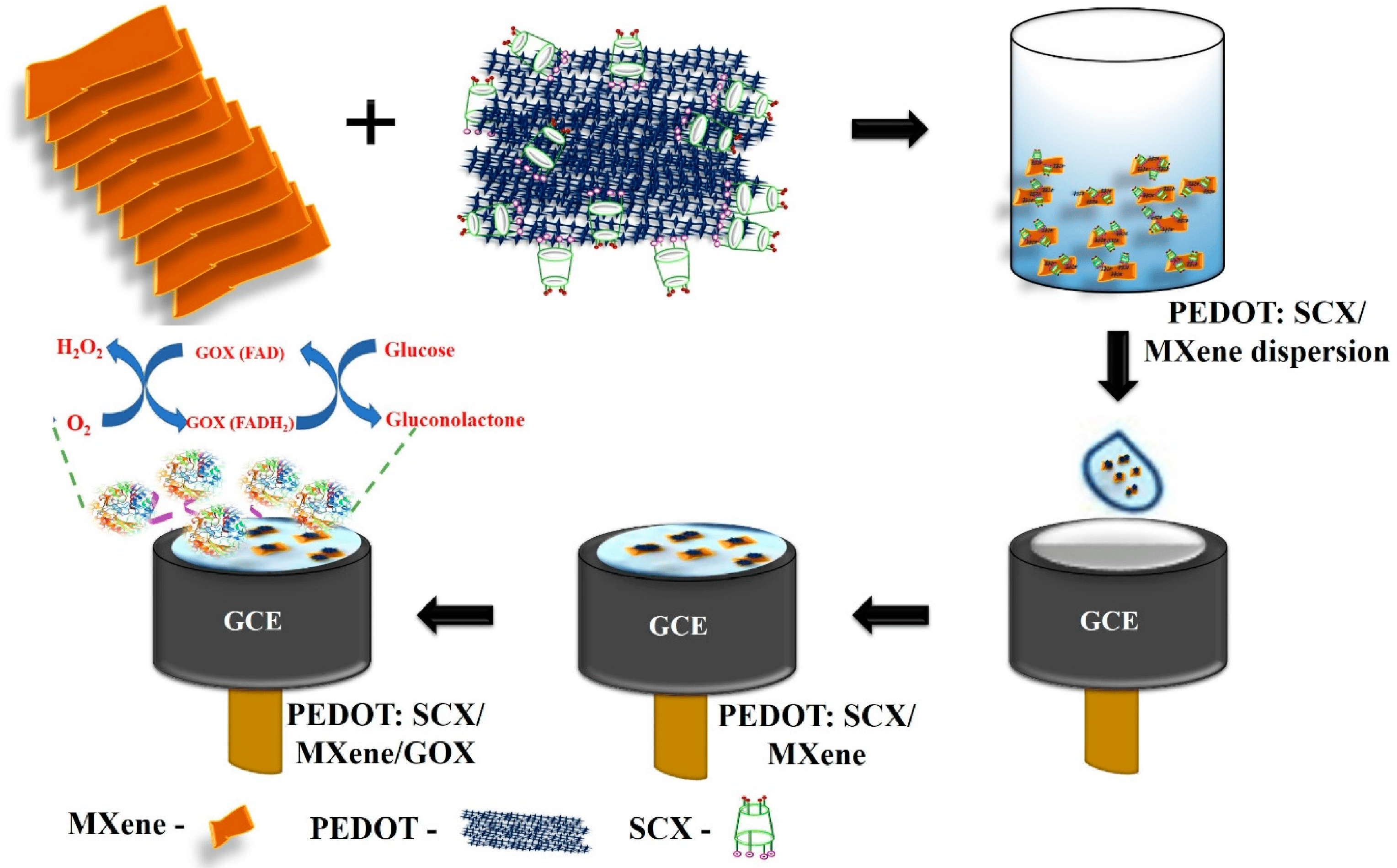 Biosensors 14 00497 g006