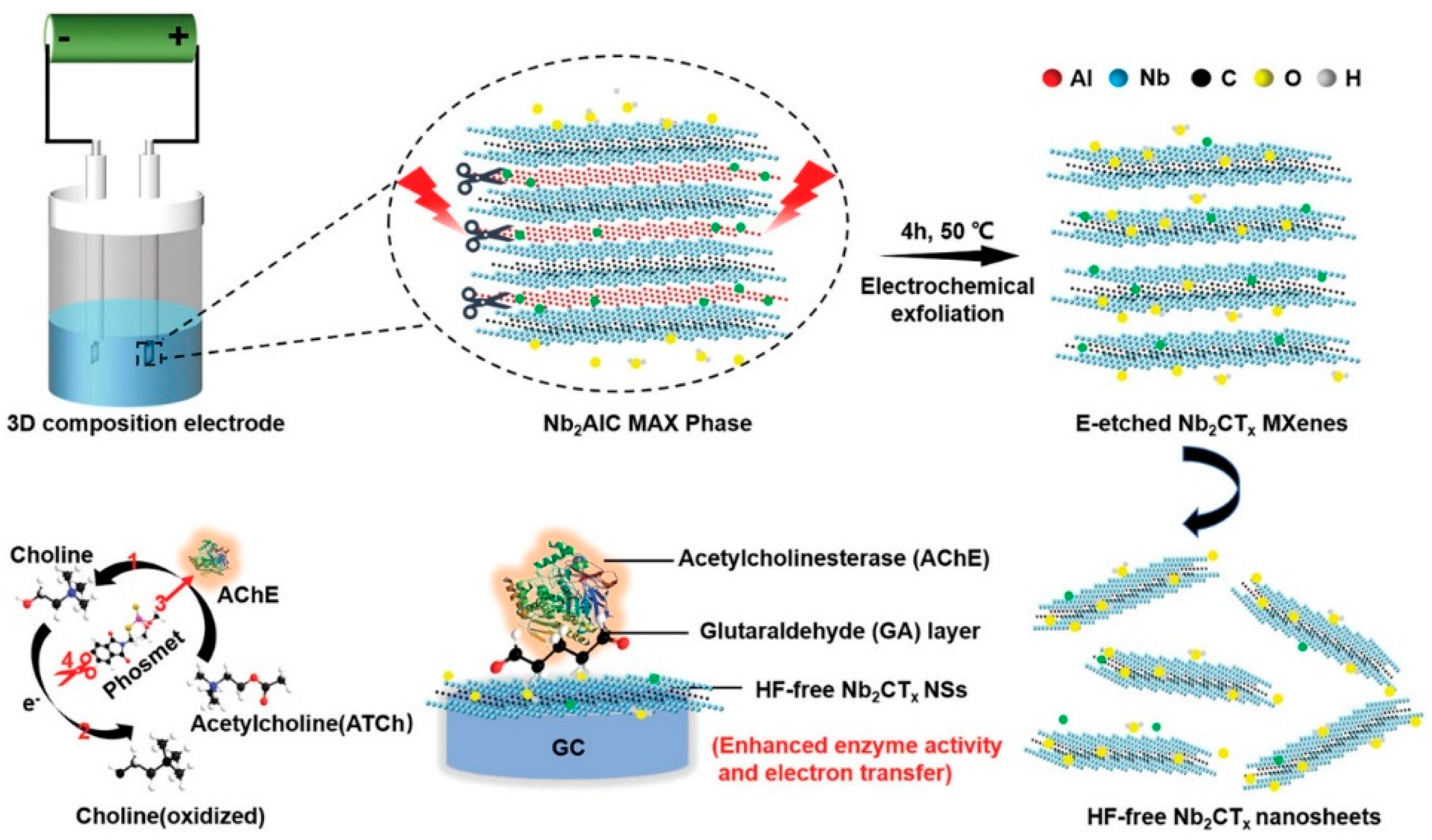 Biosensors 14 00497 g007