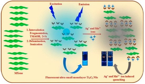 Recent Advancements in MXene-Based Biosensors for Health and