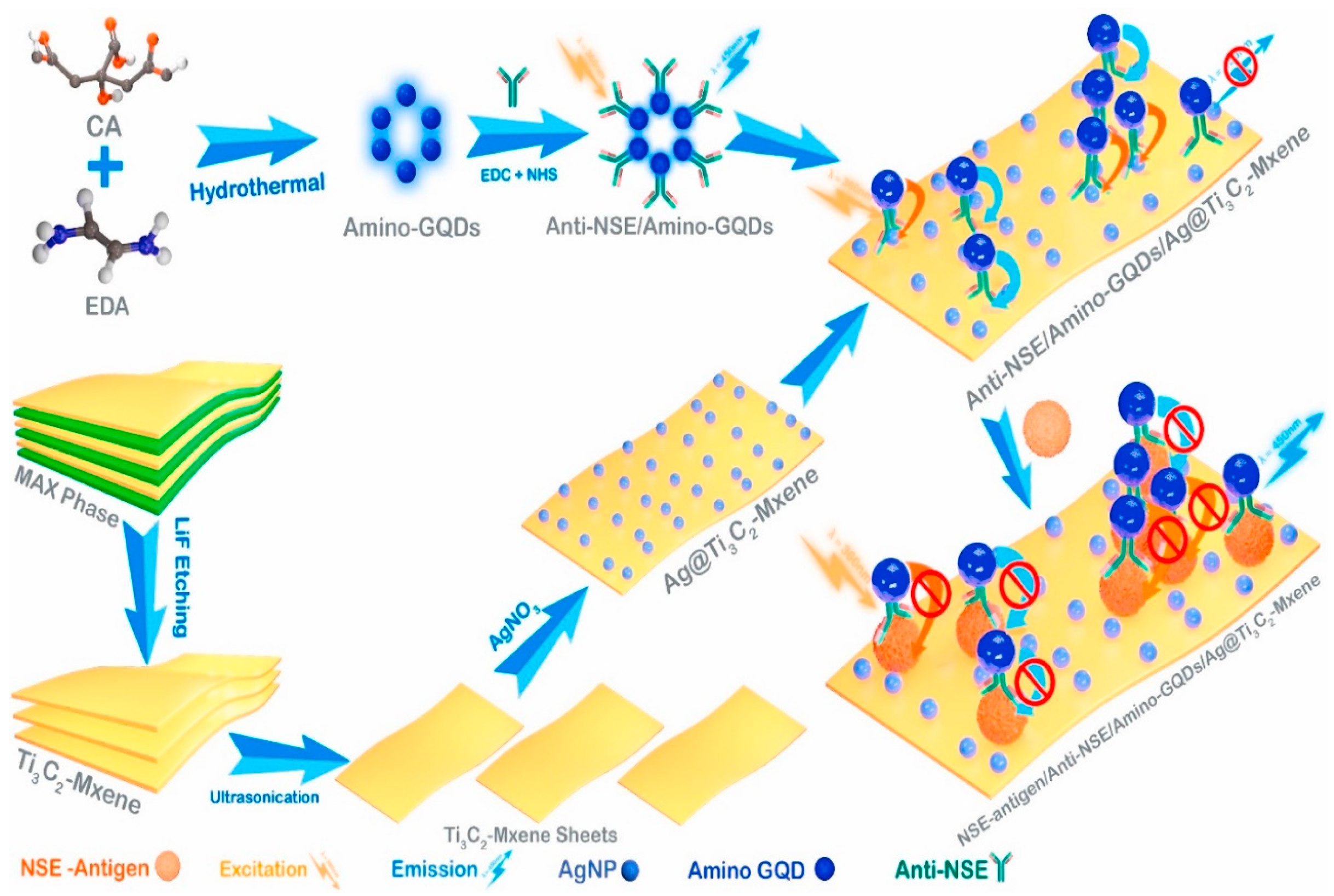 Biosensors 14 00497 g014