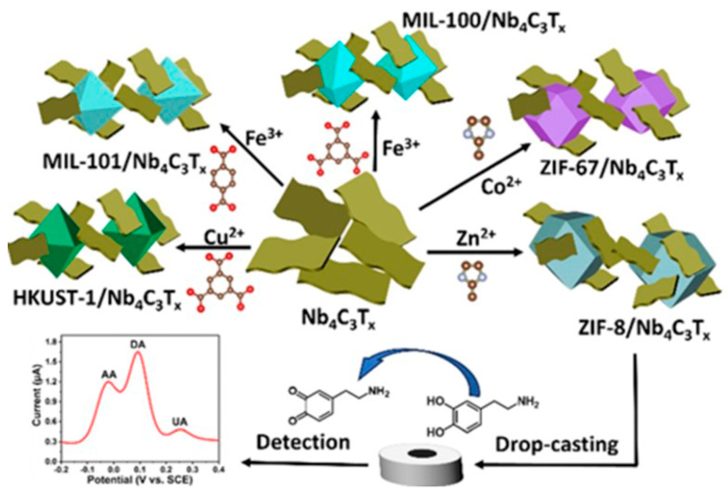 Biosensors 14 00497 g020