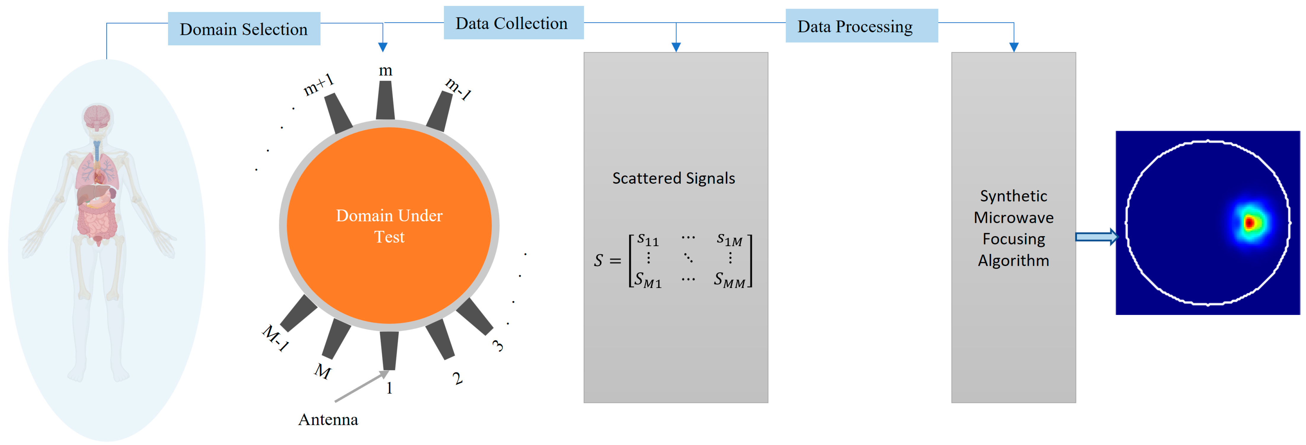 Biosensors 14 00498 g001