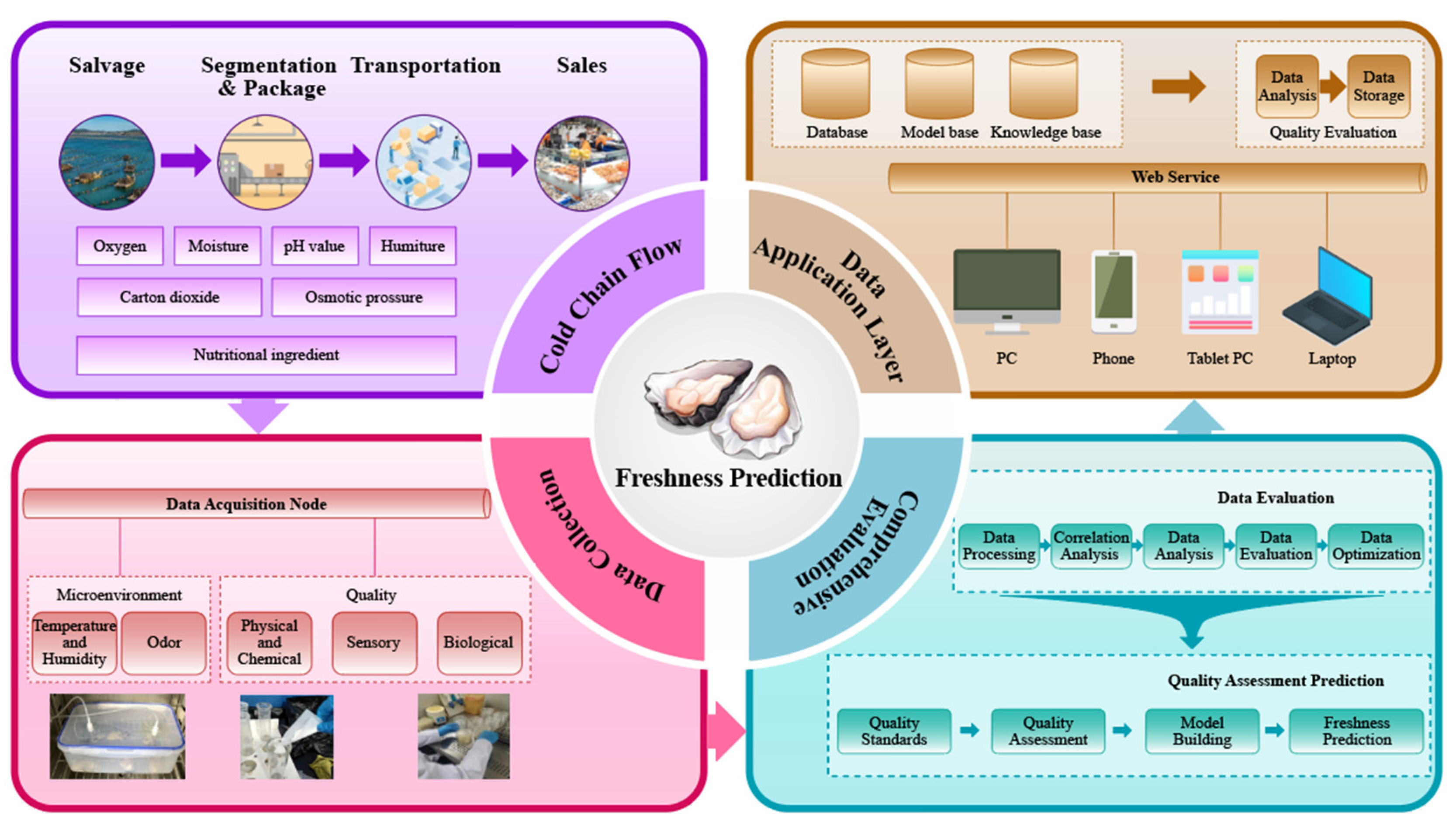 Biosensors 14 00502 g002