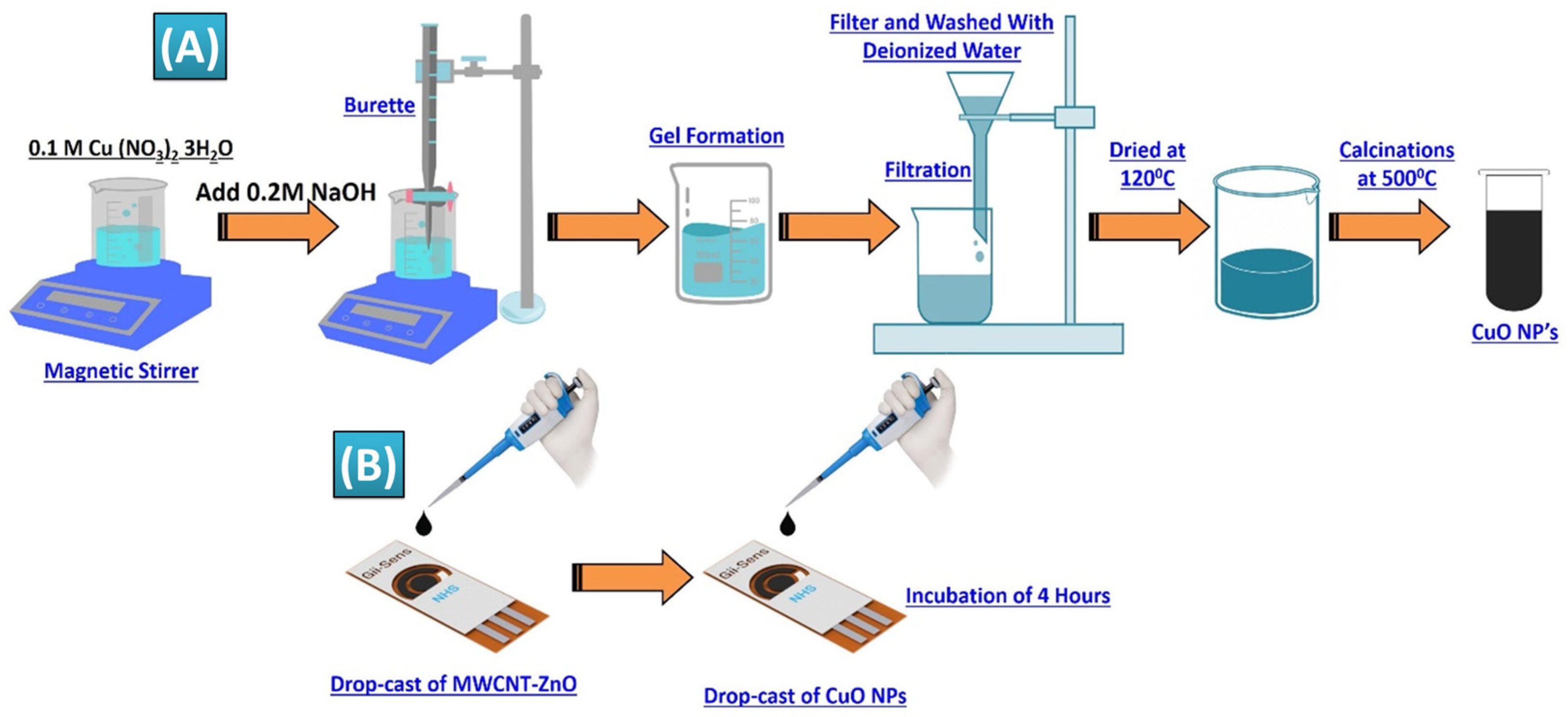 Biosensors 14 00504 g002
