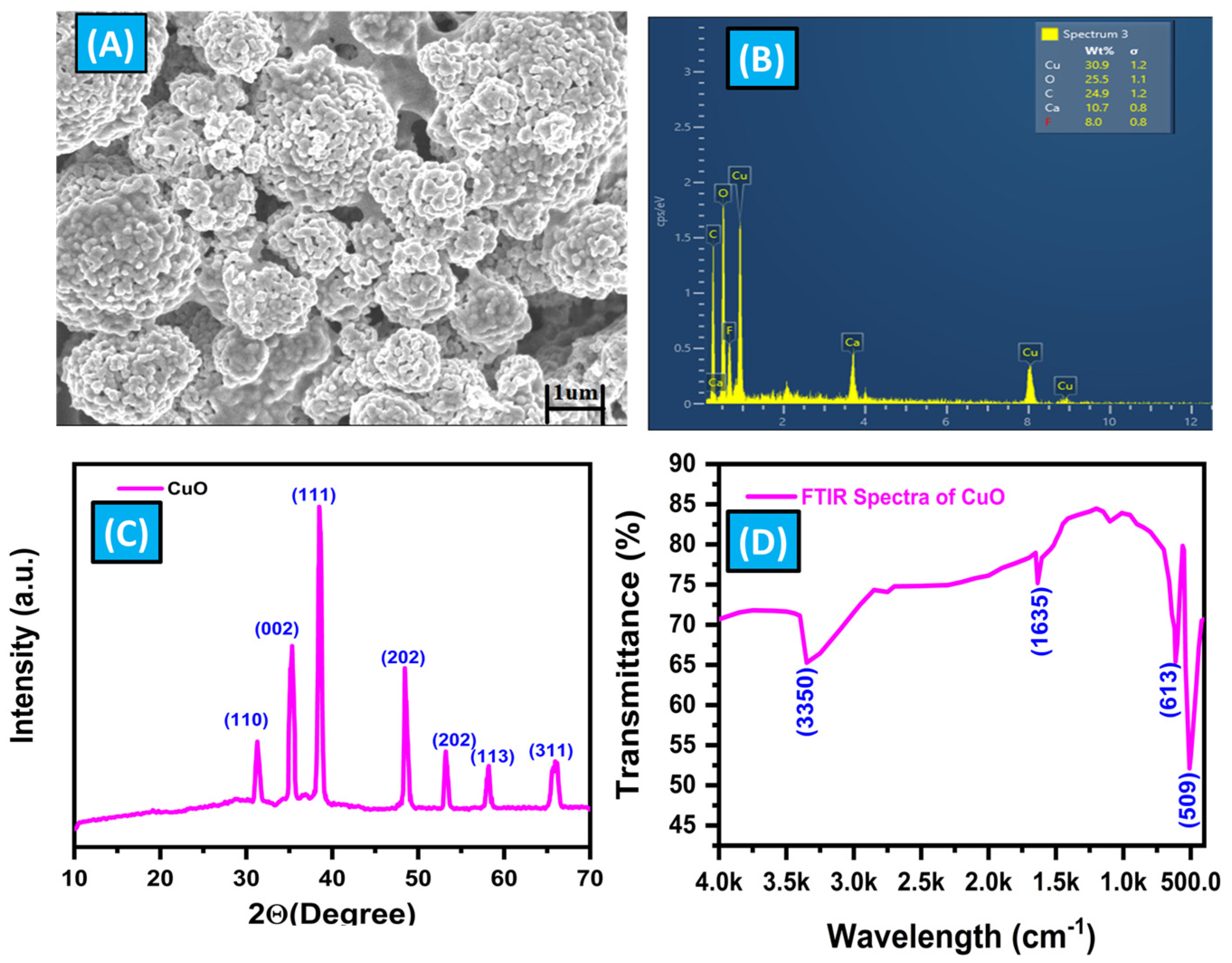 Biosensors 14 00504 g004