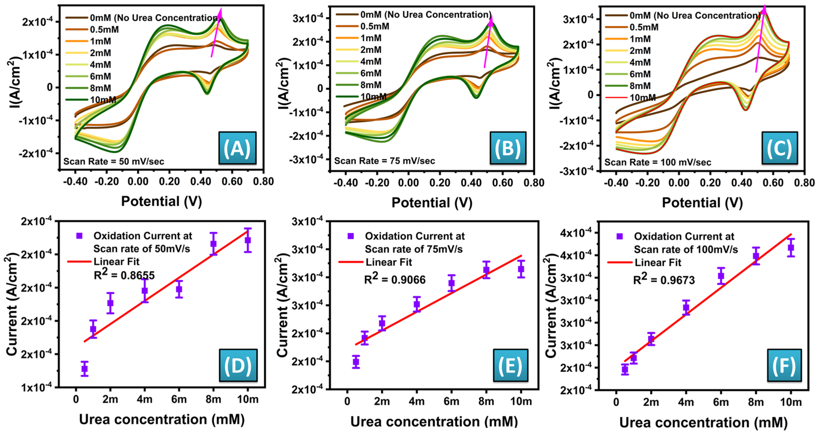 Biosensors 14 00504 g006
