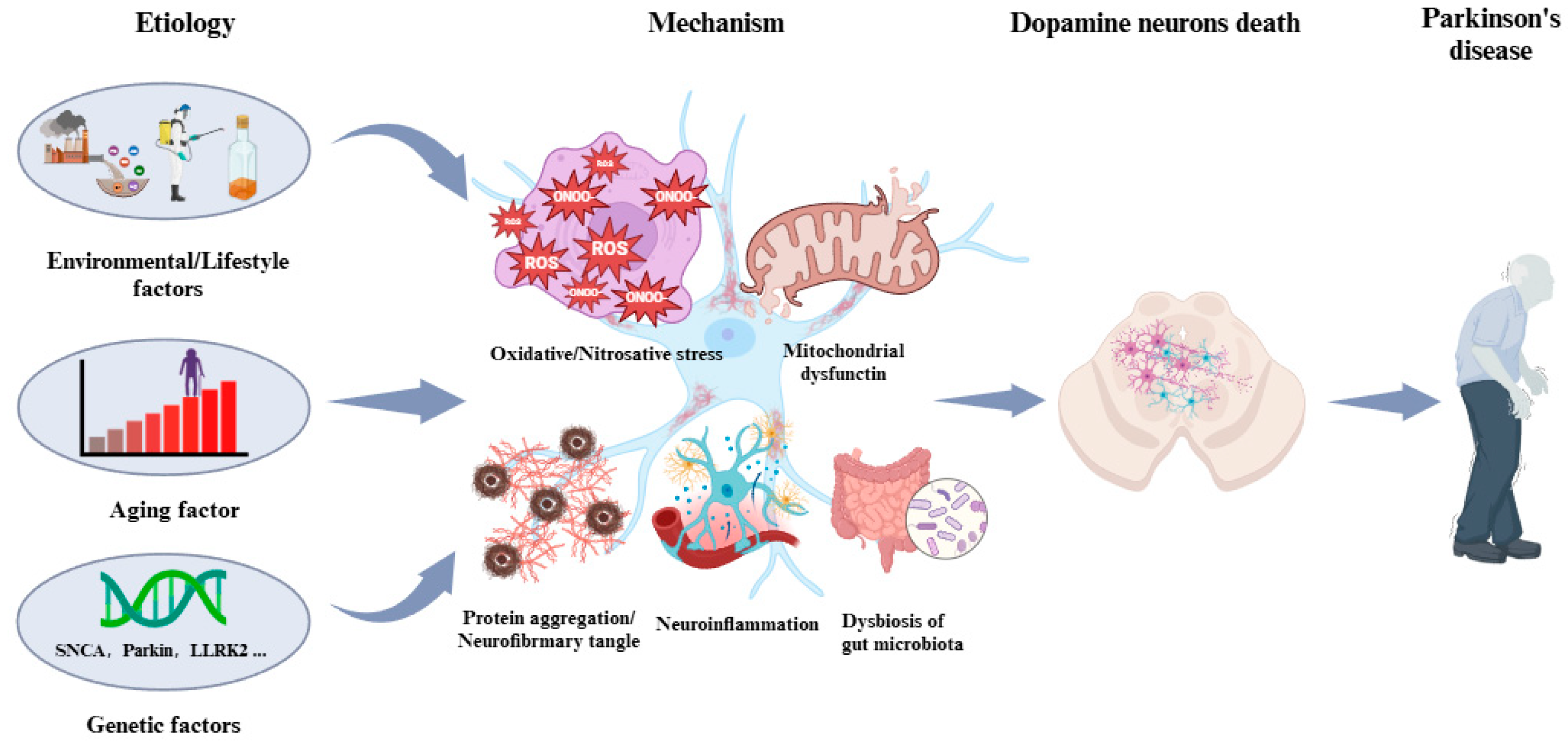 Biosensors 14 00506 g001 Biosensors 14 00506 g001
