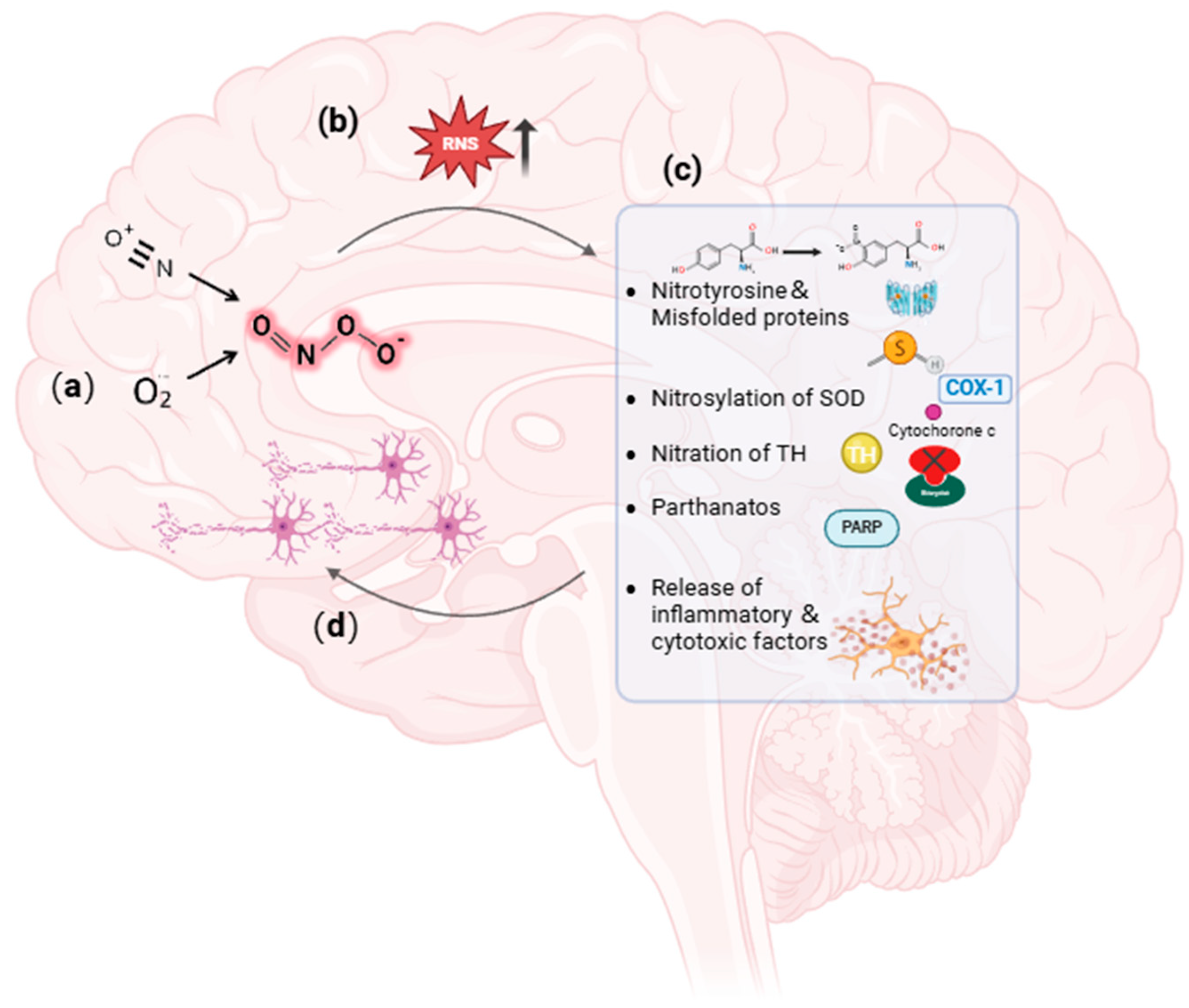 Biosensors 14 00506 g002 Biosensors 14 00506 g002