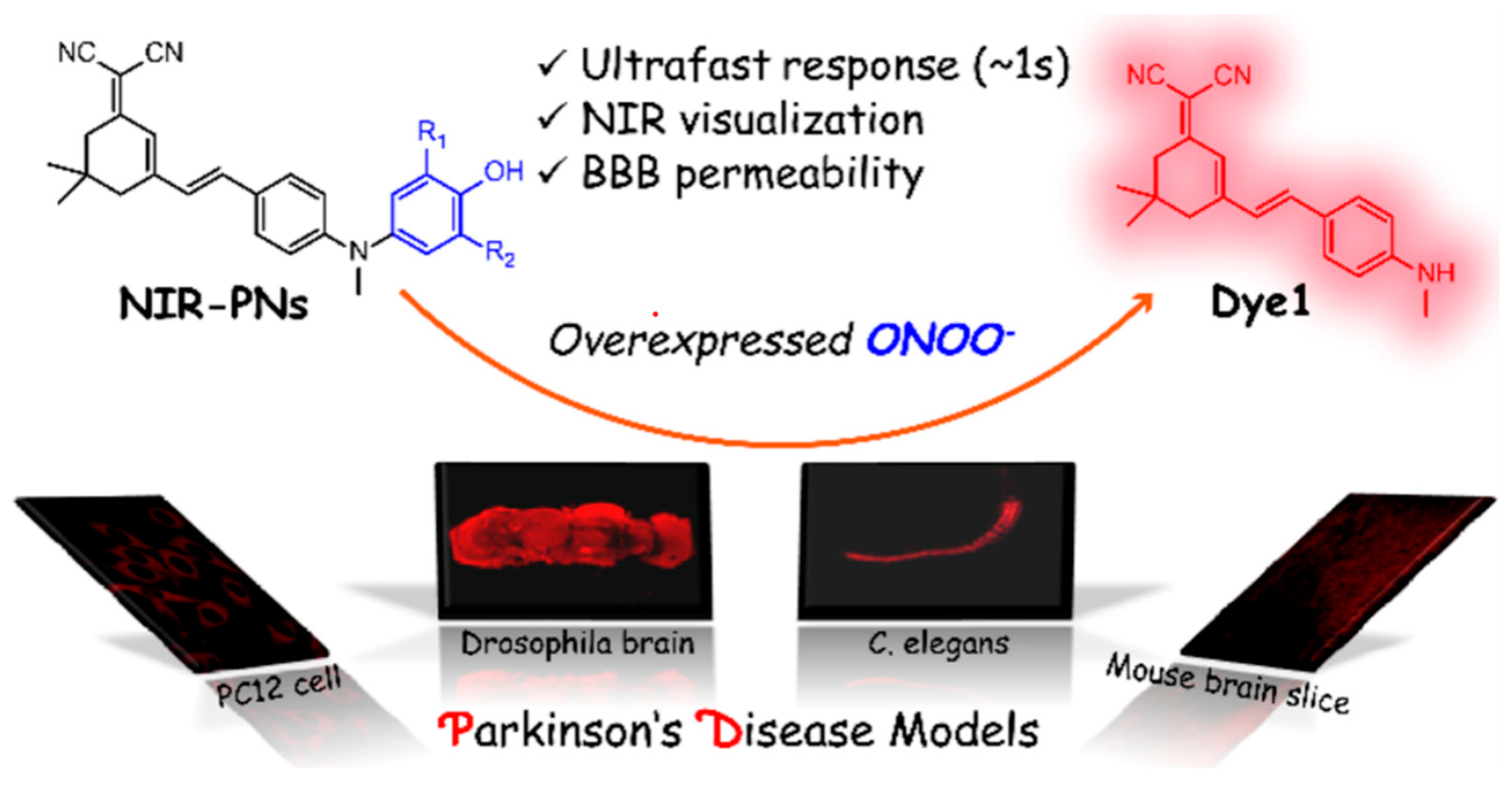 Biosensors 14 00506 g003 Biosensors 14 00506 g003
