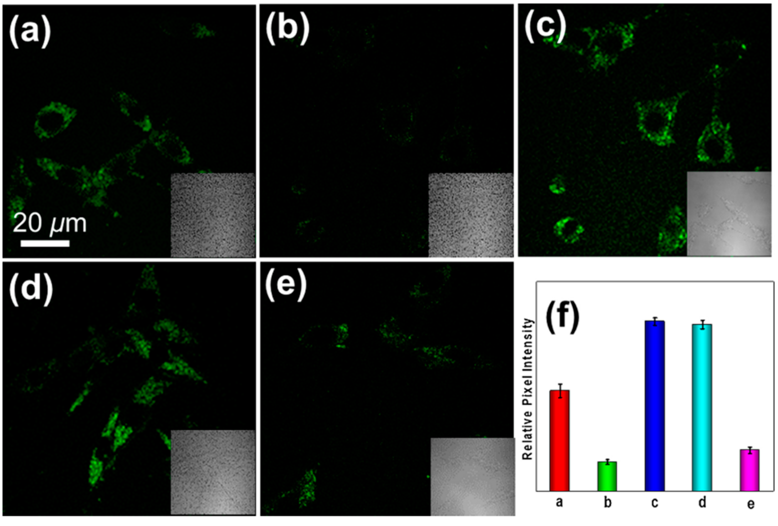 Biosensors 14 00506 g004 Biosensors 14 00506 g004