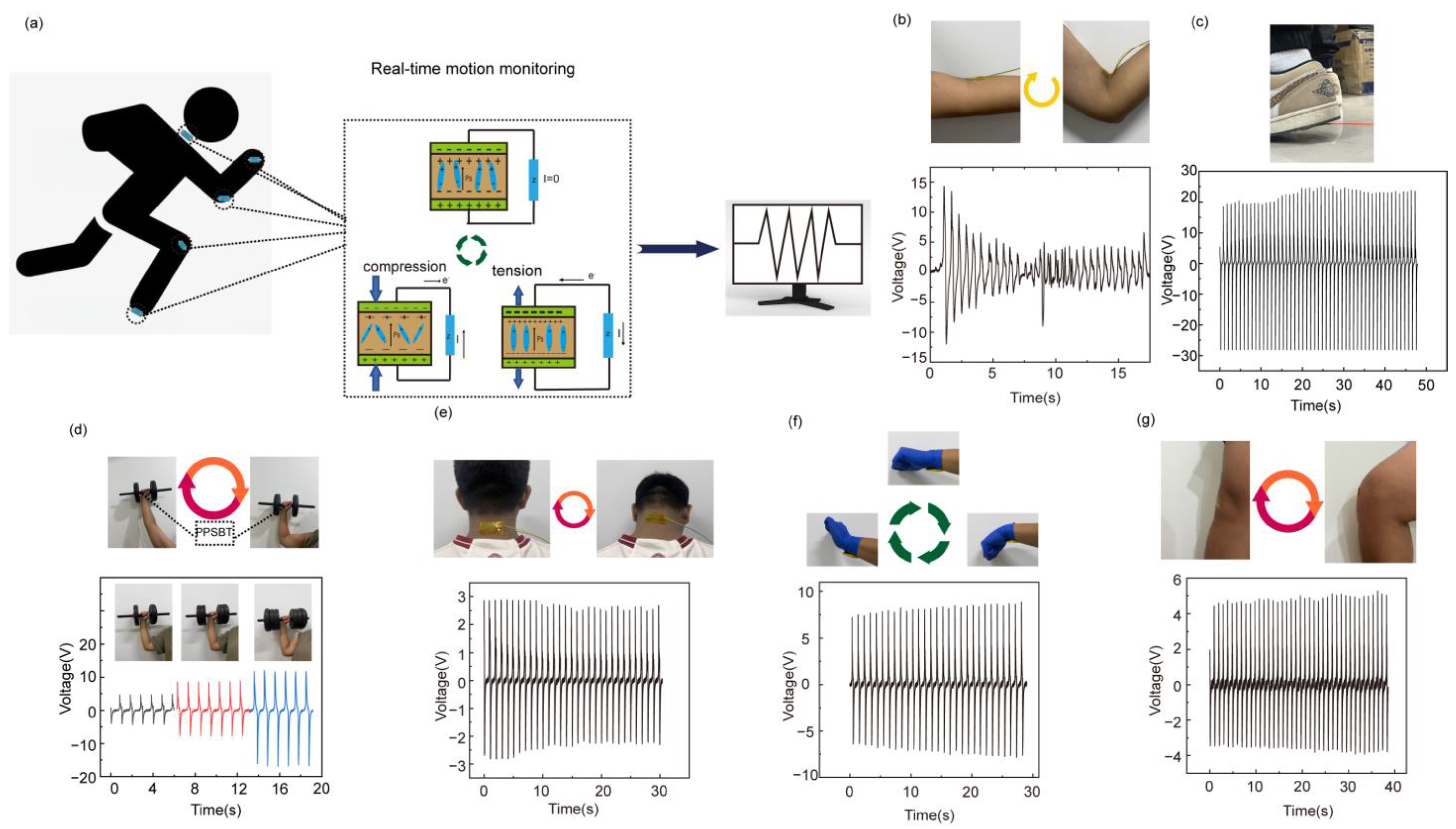 Biosensors 14 00508 g005