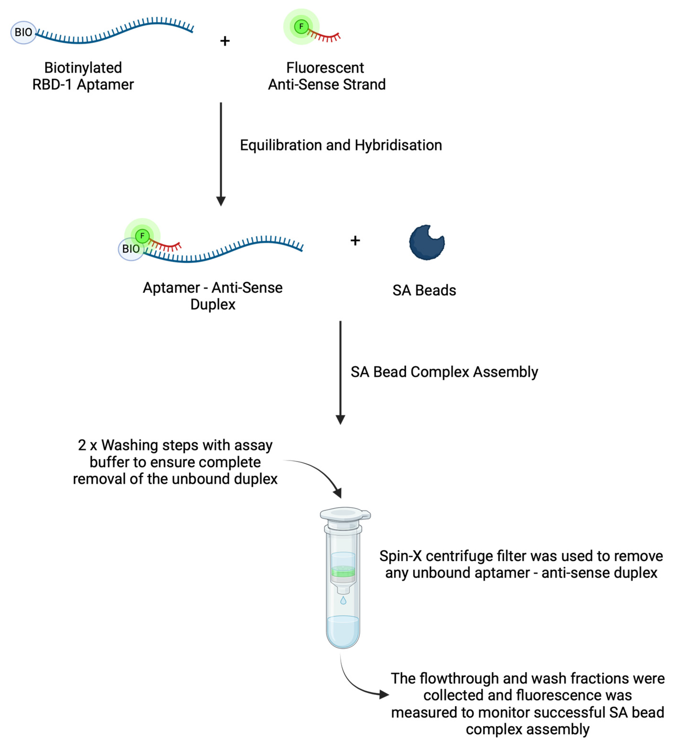 Biosensors 14 00509 g003 Biosensors 14 00509 g003