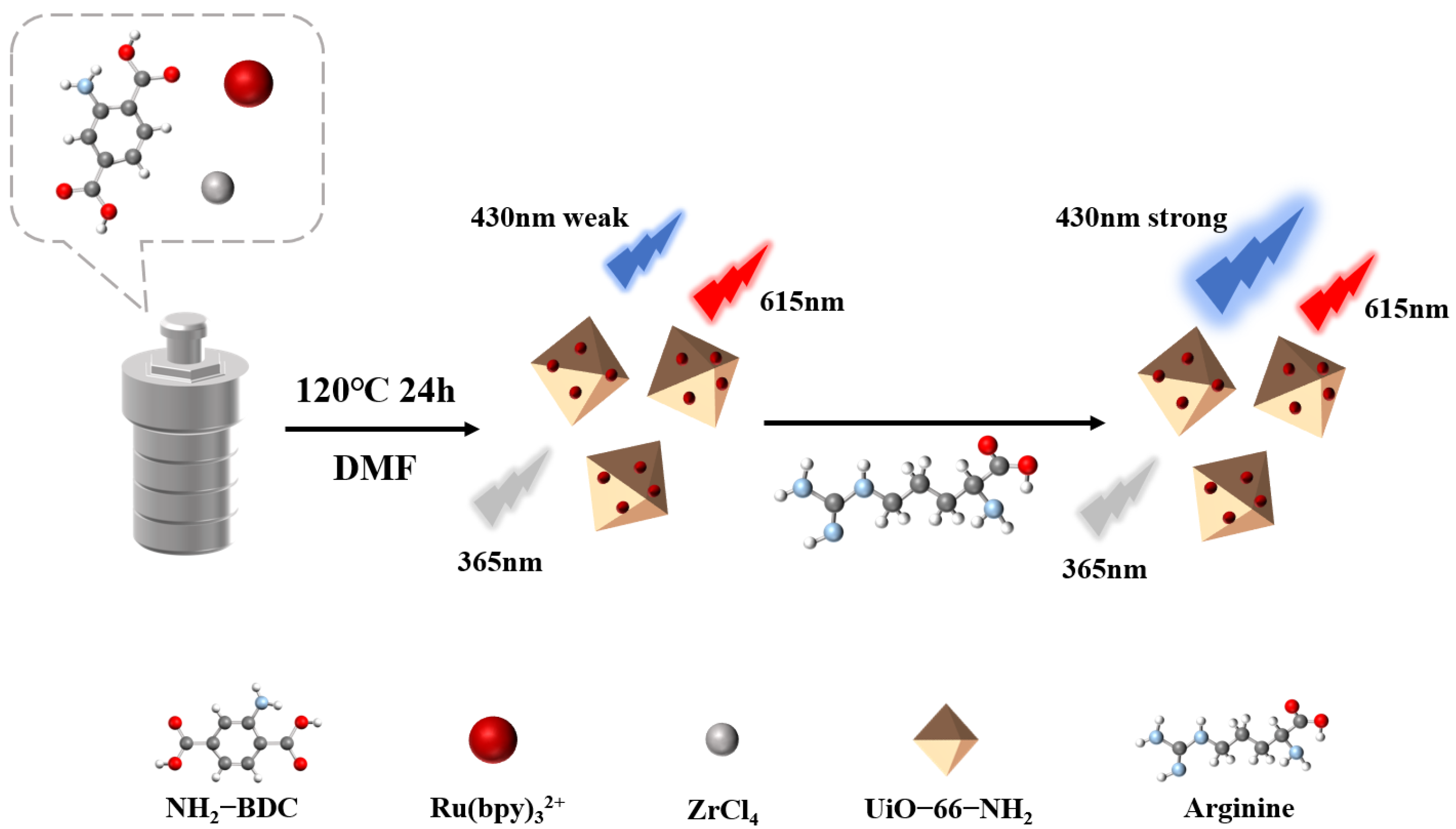 Biosensors 14 00512 sch001