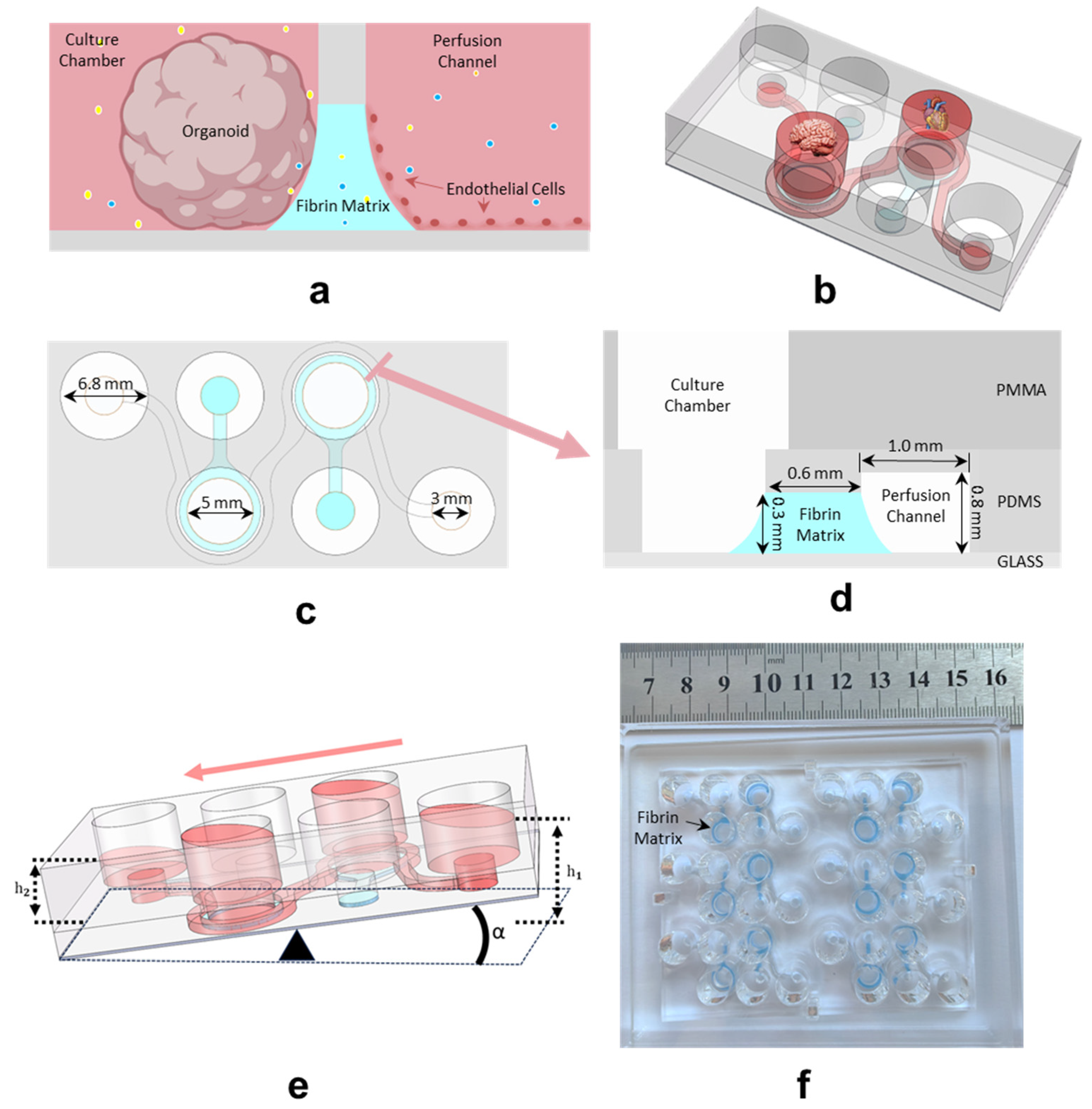 Biosensors 14 00517 g001