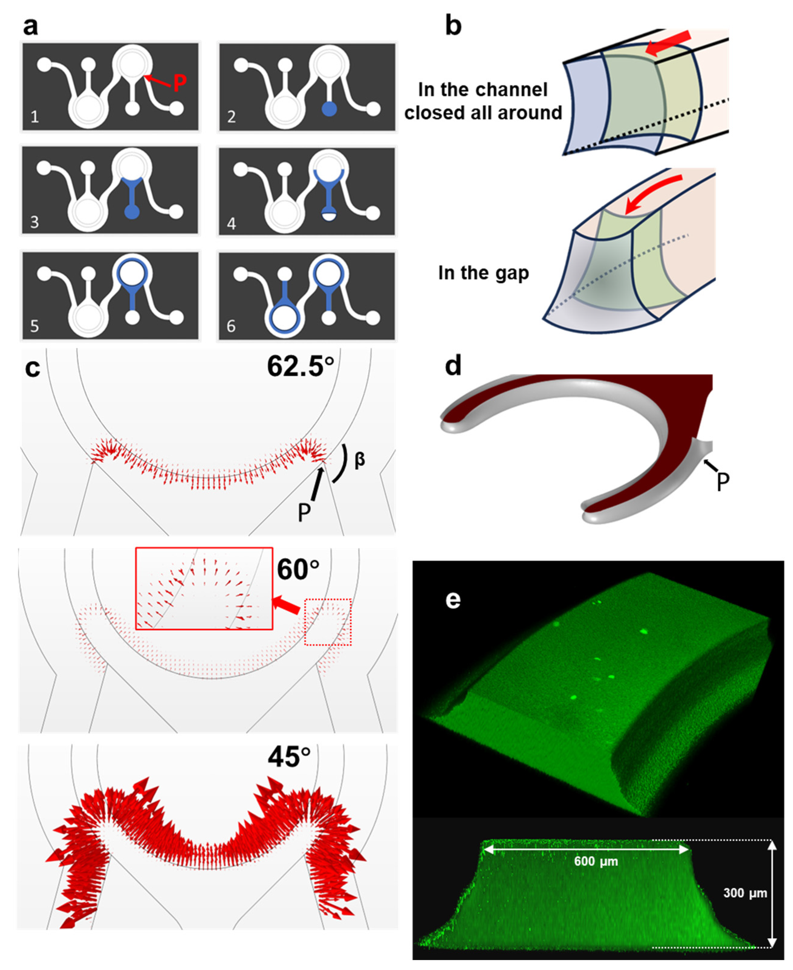 Biosensors 14 00517 g002