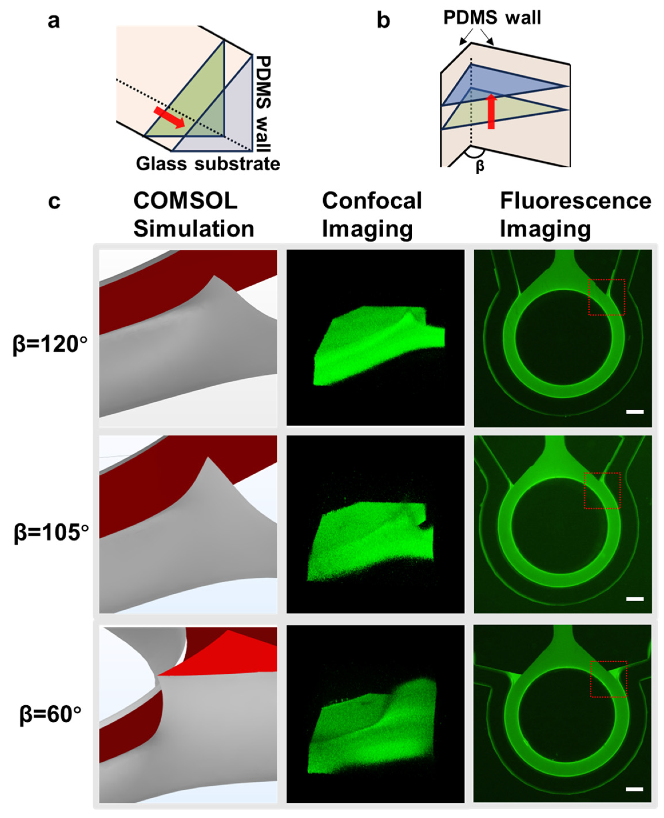 Biosensors 14 00517 g003