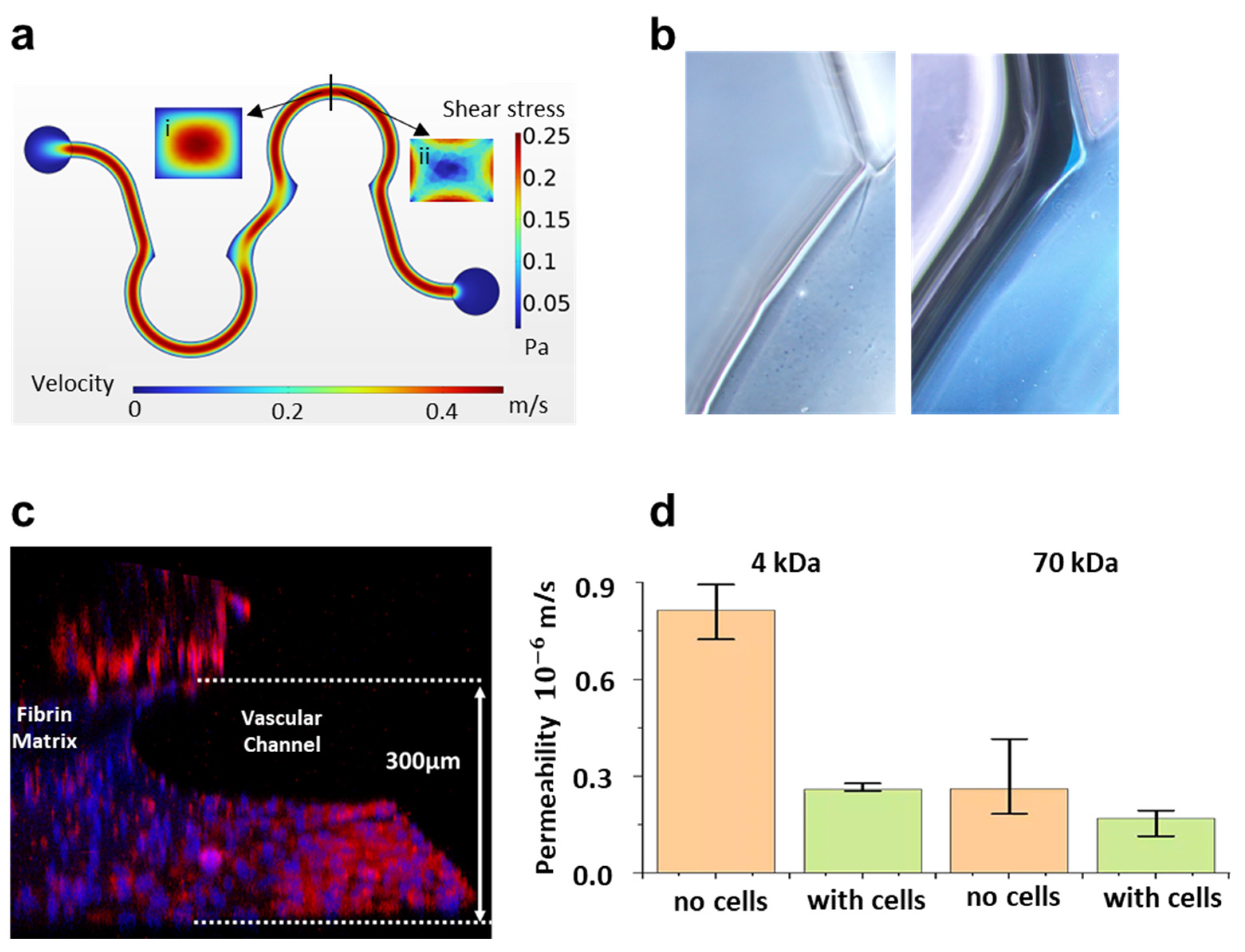 Biosensors 14 00517 g004