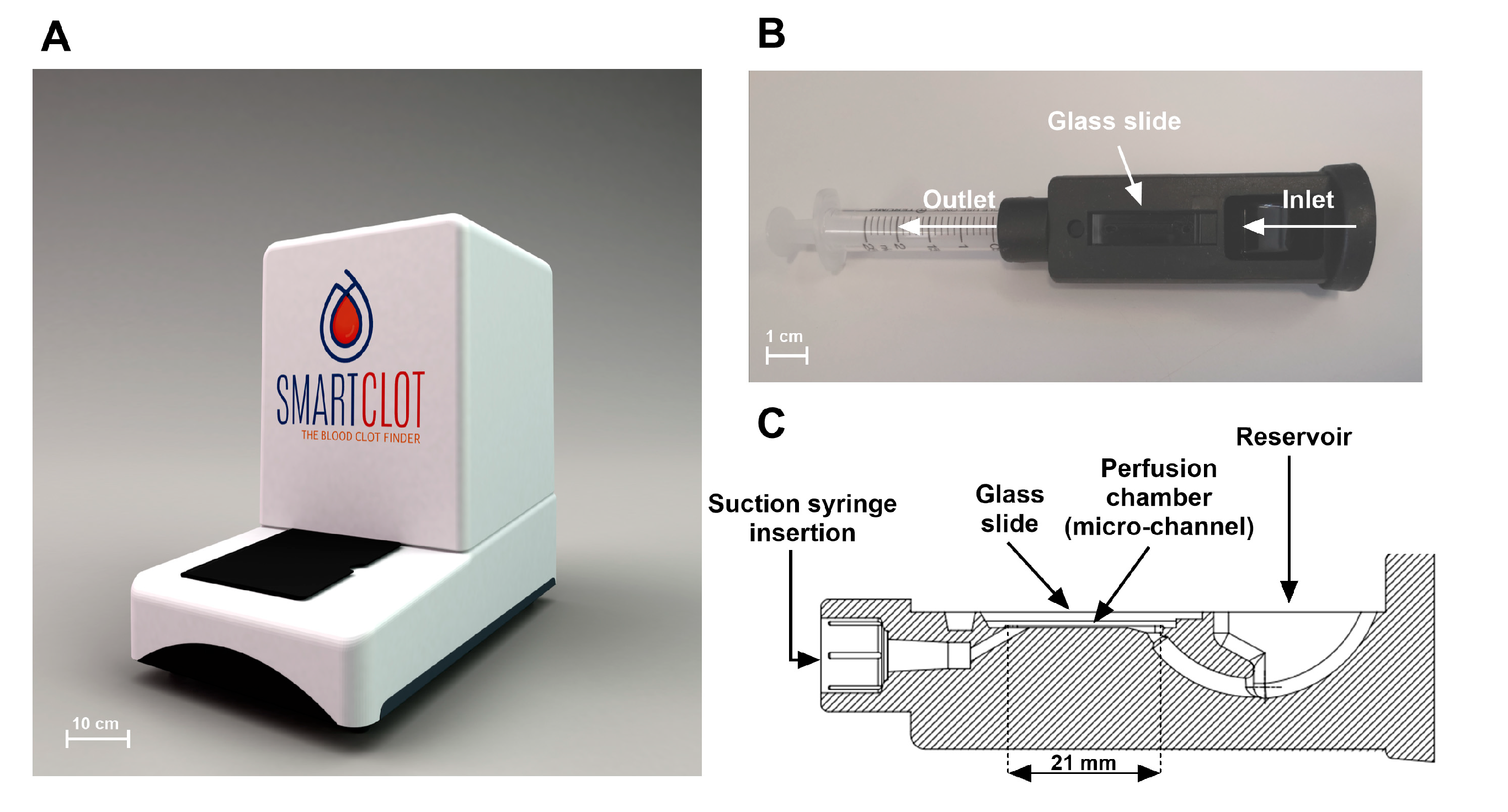 Biosensors 14 00518 g001