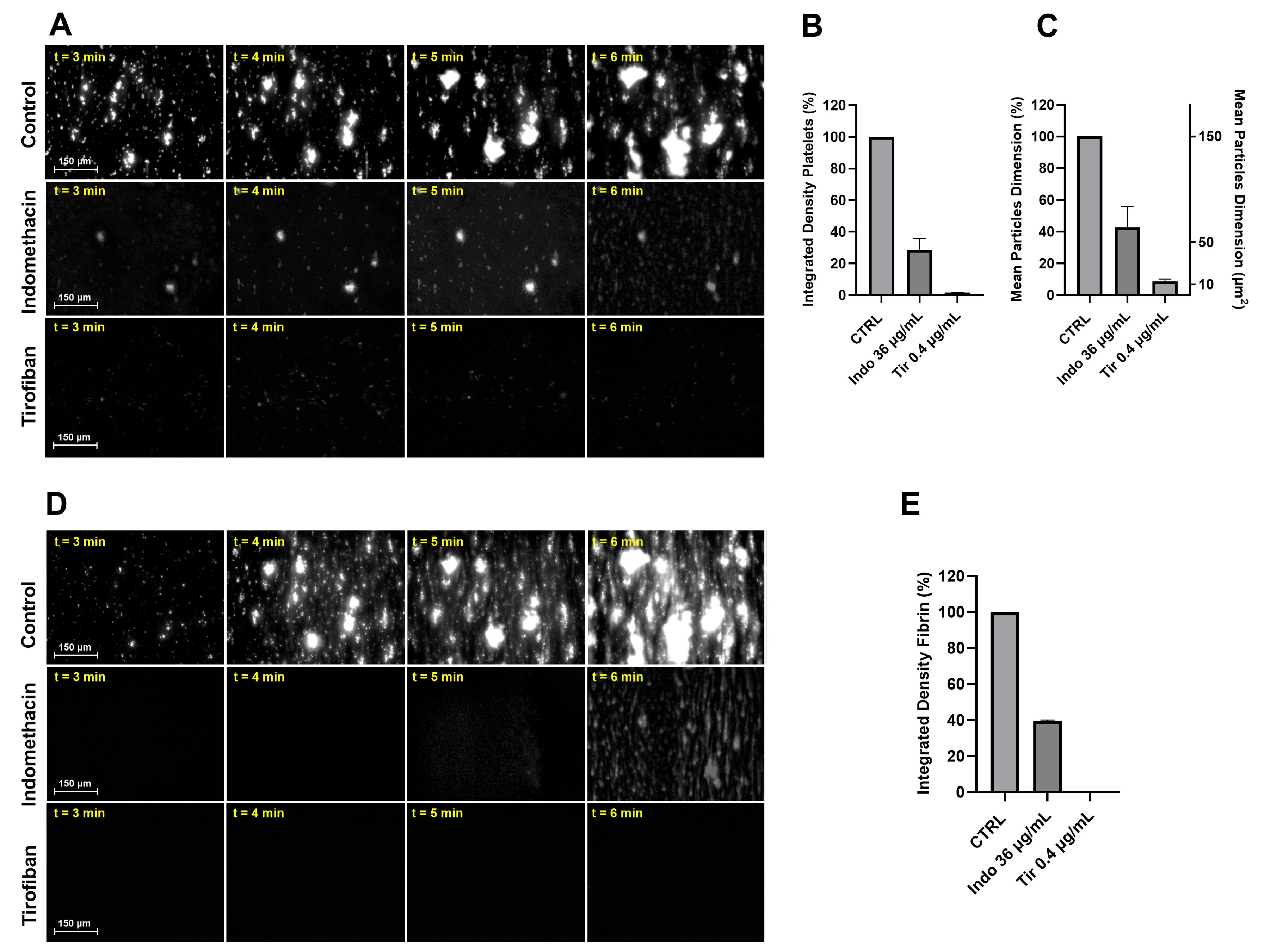 Biosensors 14 00518 g005