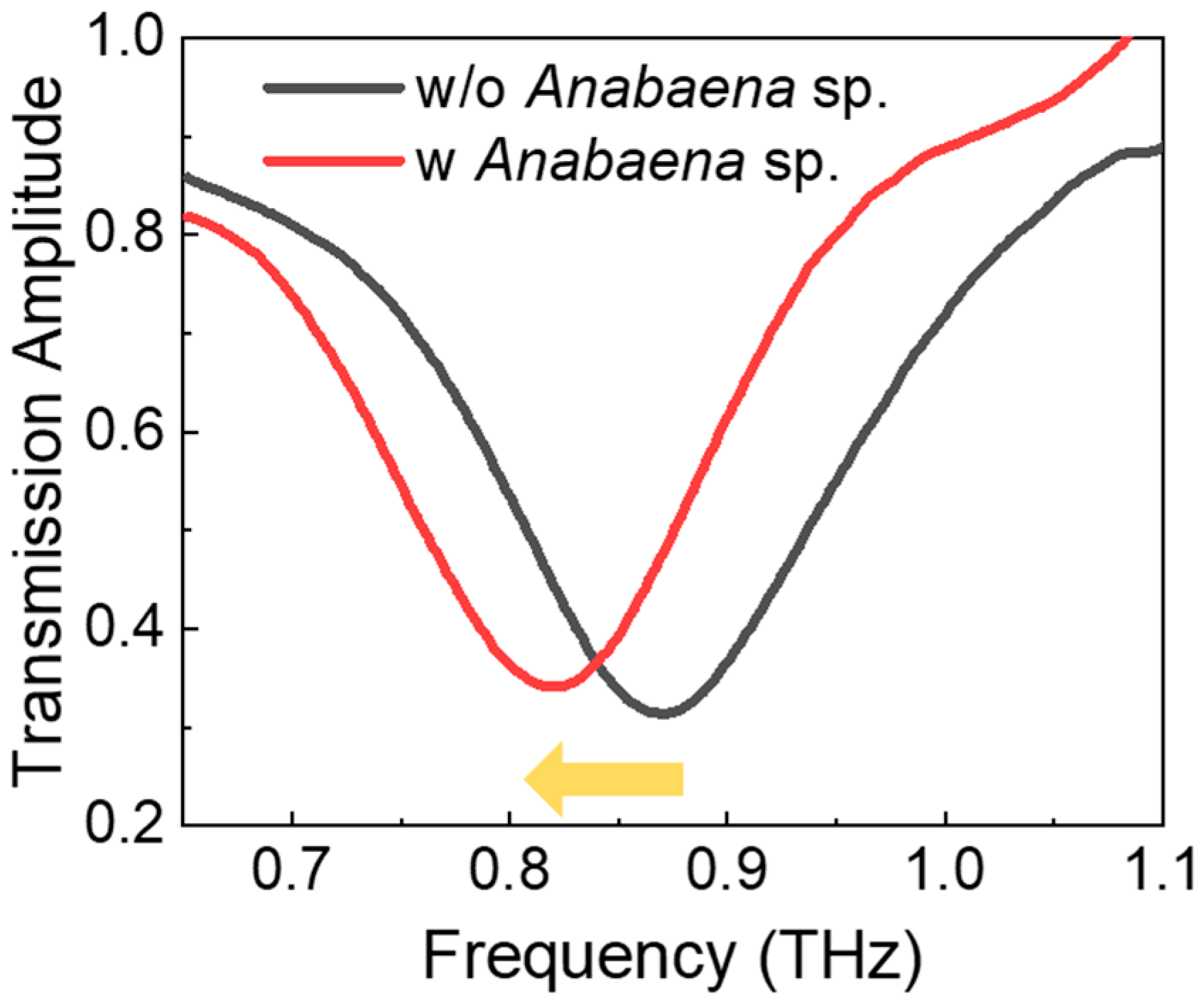 Biosensors 14 00519 g002