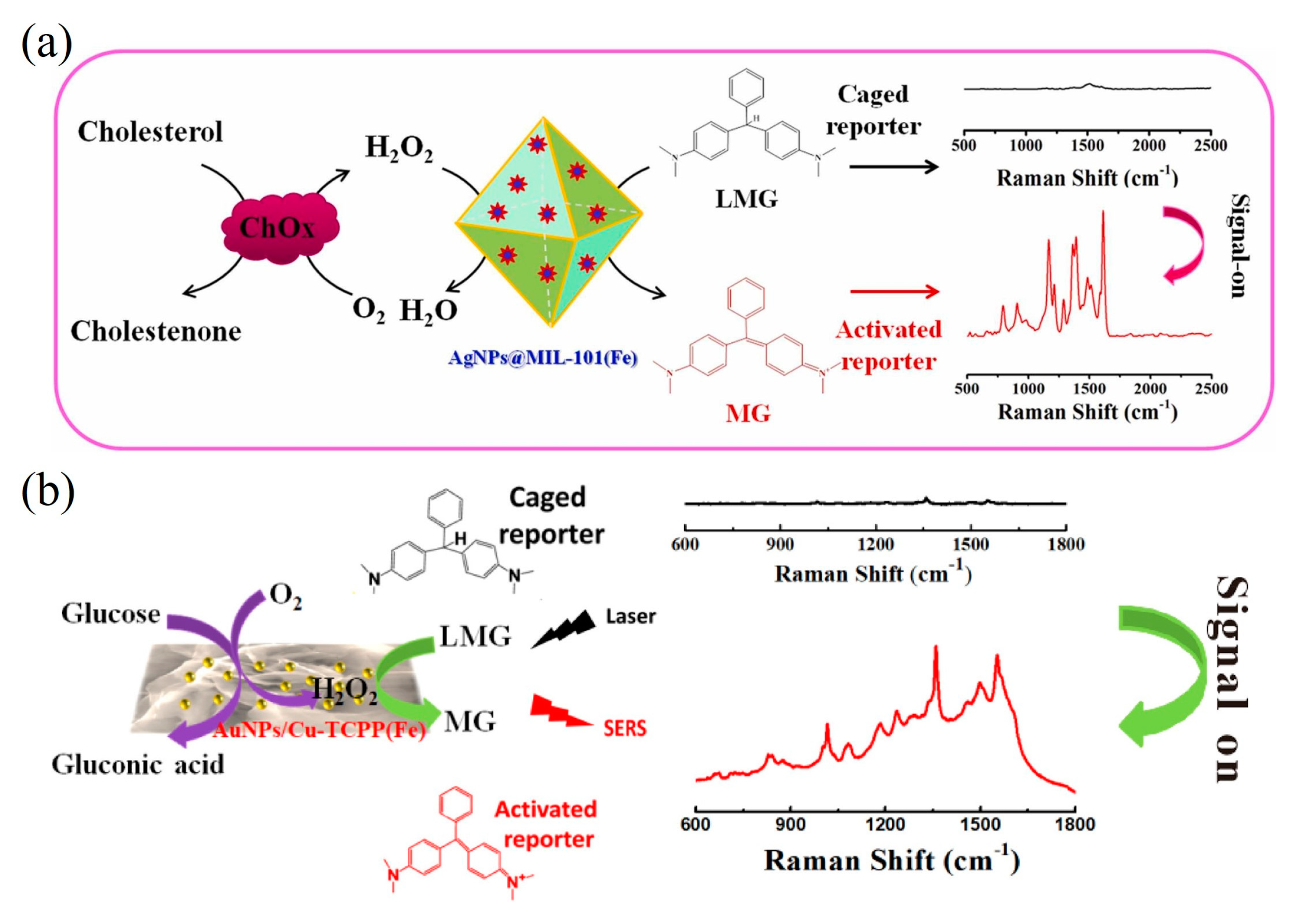 Biosensors 14 00520 g006