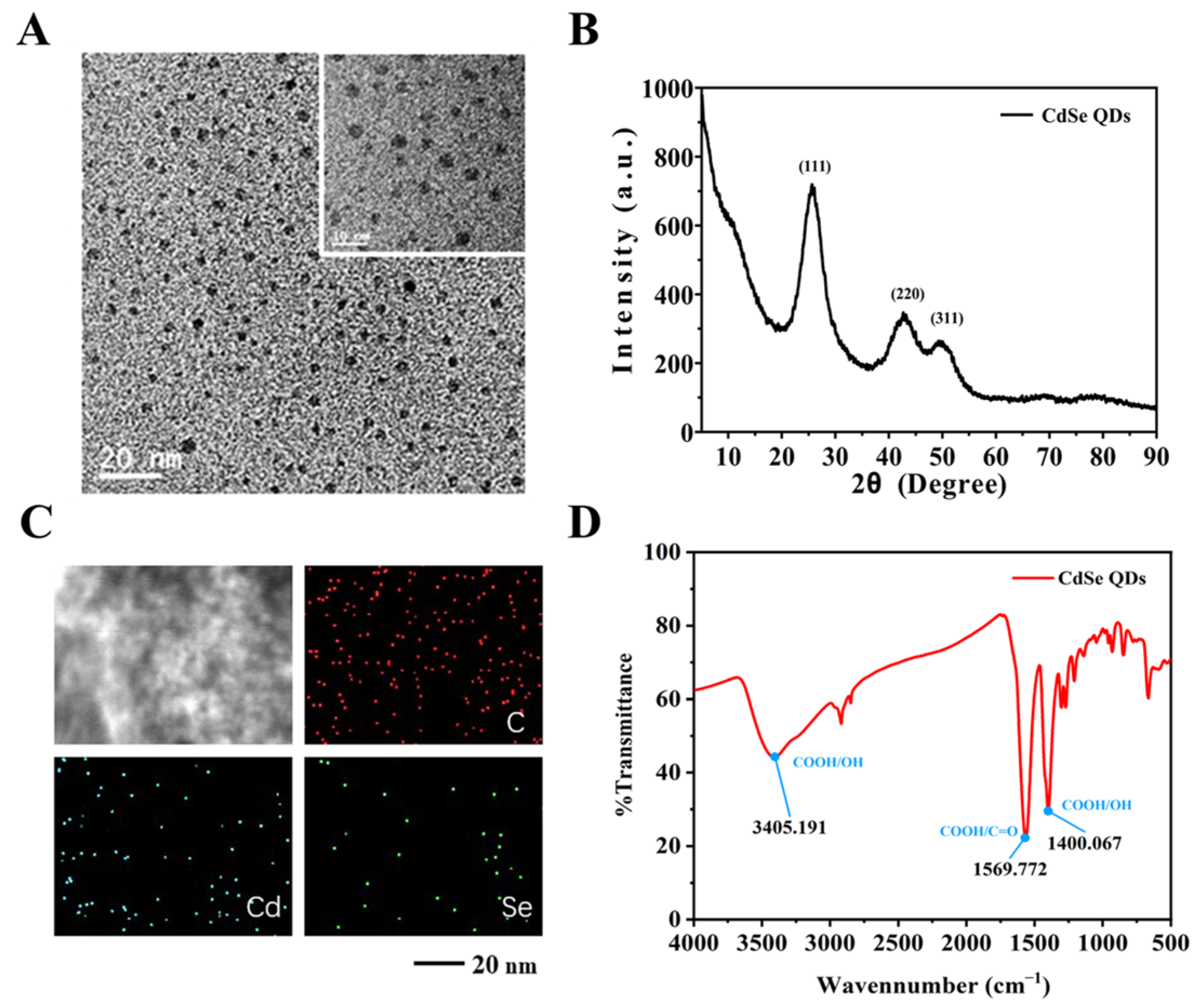 Biosensors 14 00521 g003 Biosensors 14 00521 g003