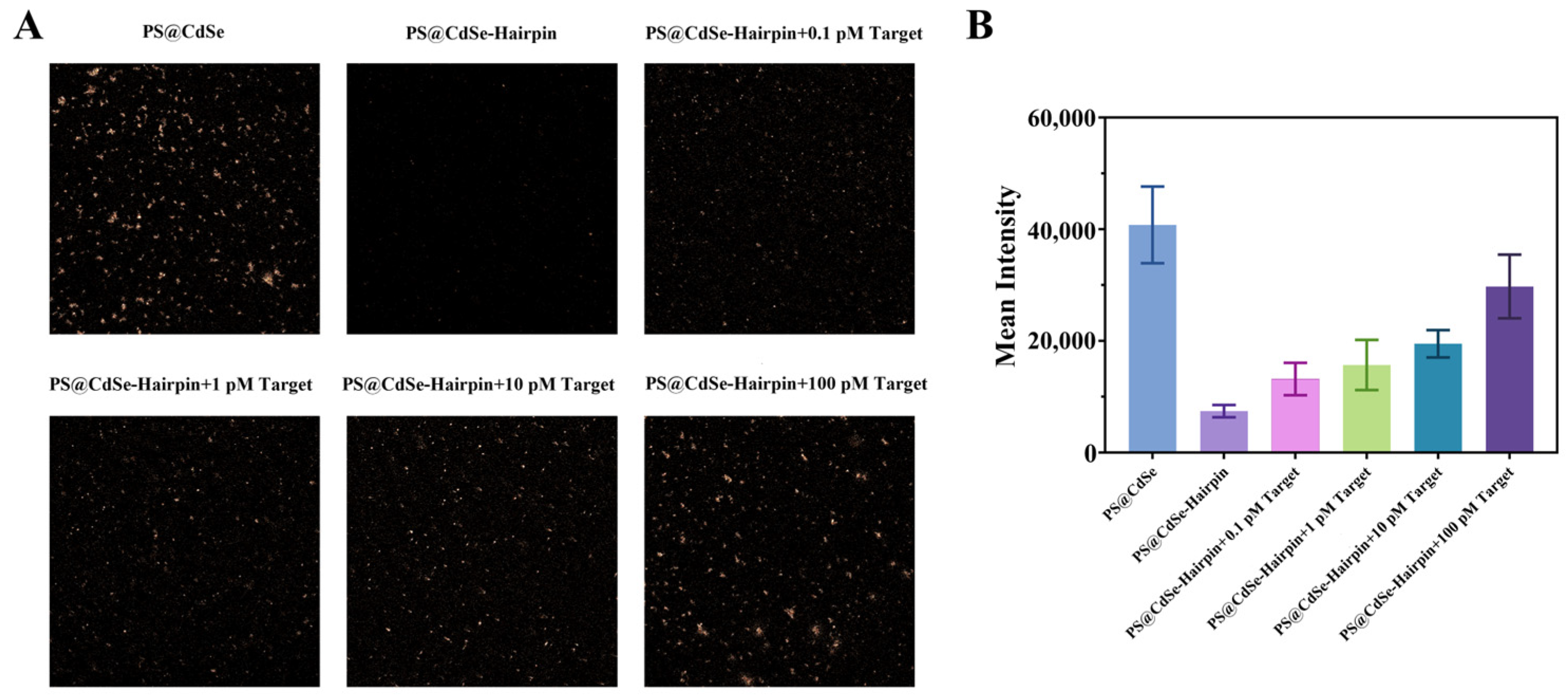 Biosensors 14 00521 g006 Biosensors 14 00521 g006