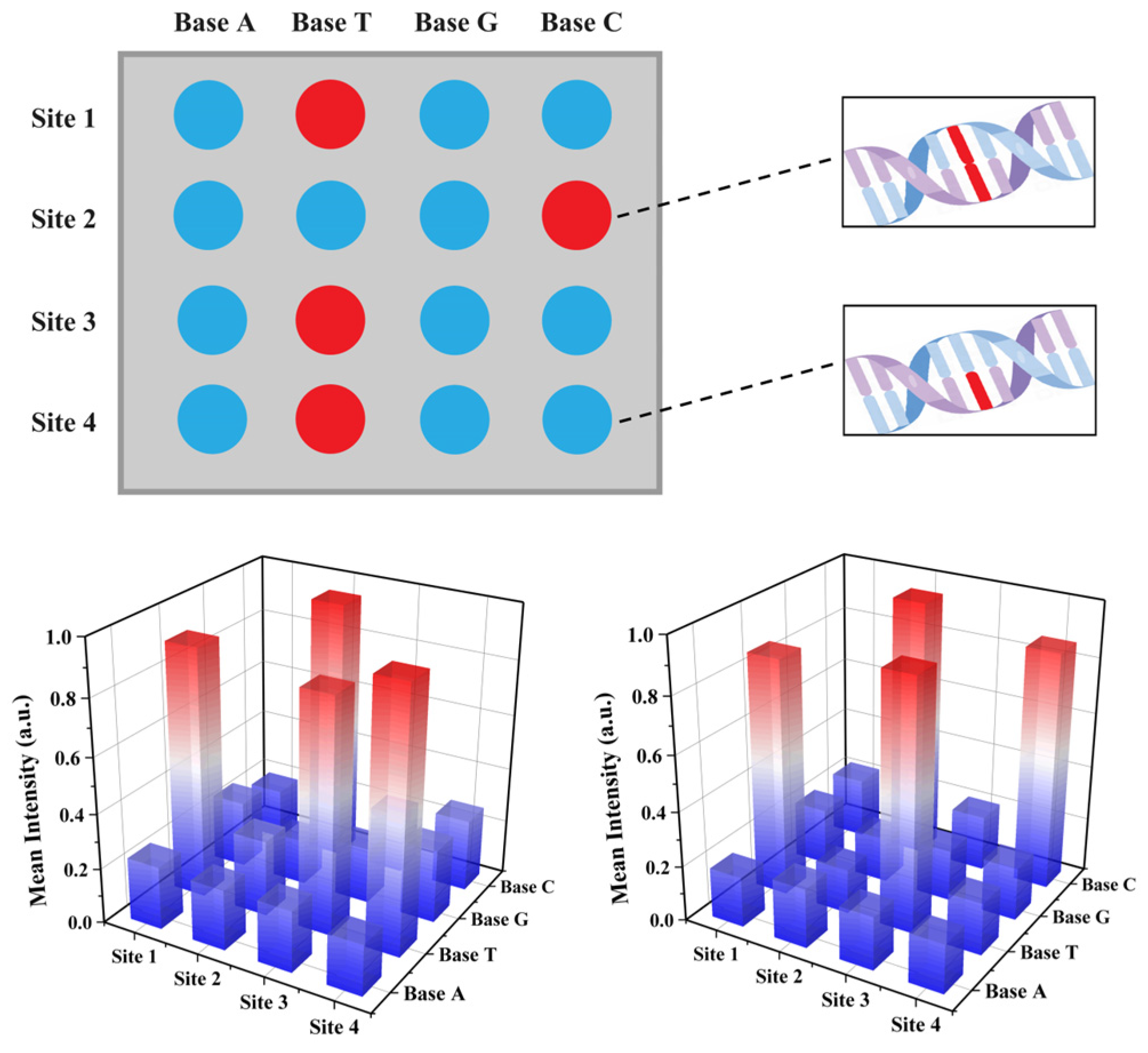 Biosensors 14 00521 g008 Biosensors 14 00521 g008