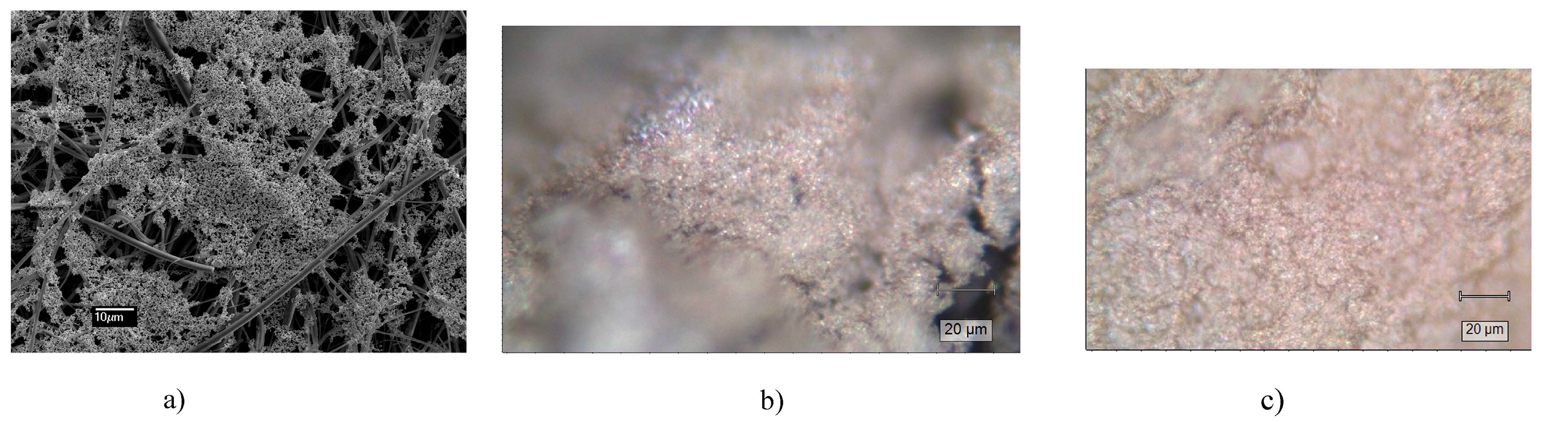 Biosensors 14 00522 g001