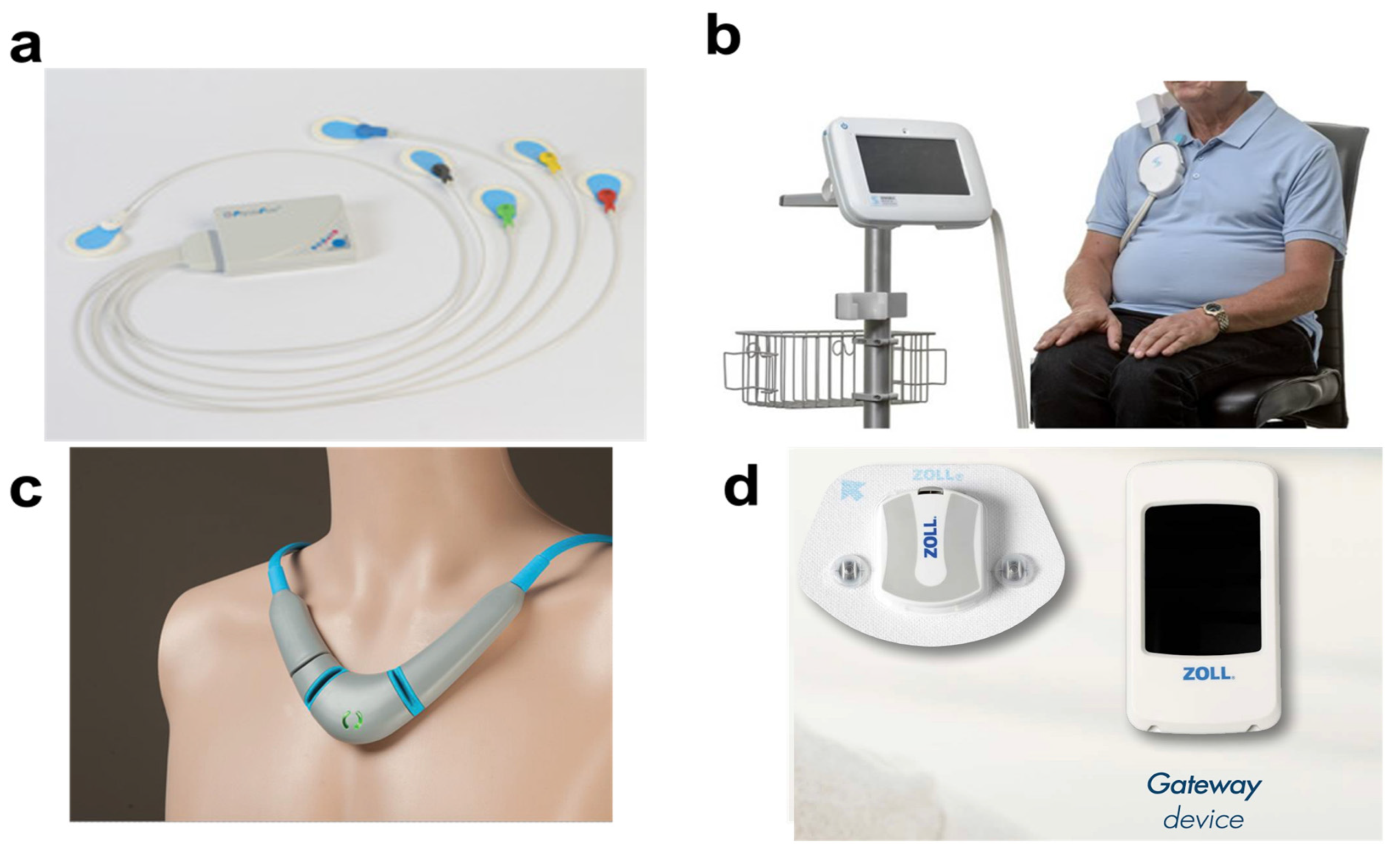 Biosensors 14 00525 g005