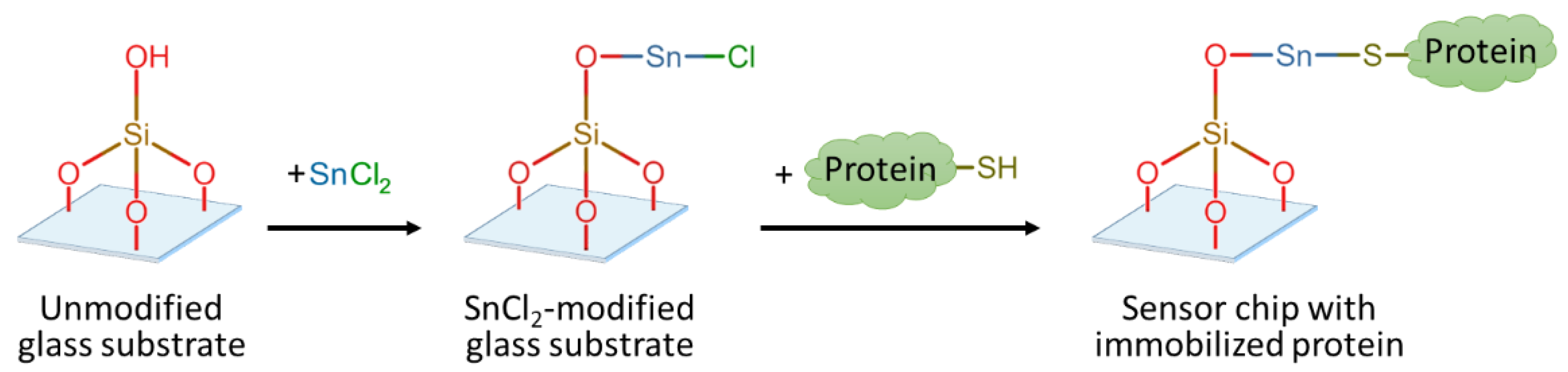 Biosensors 14 00531 g001