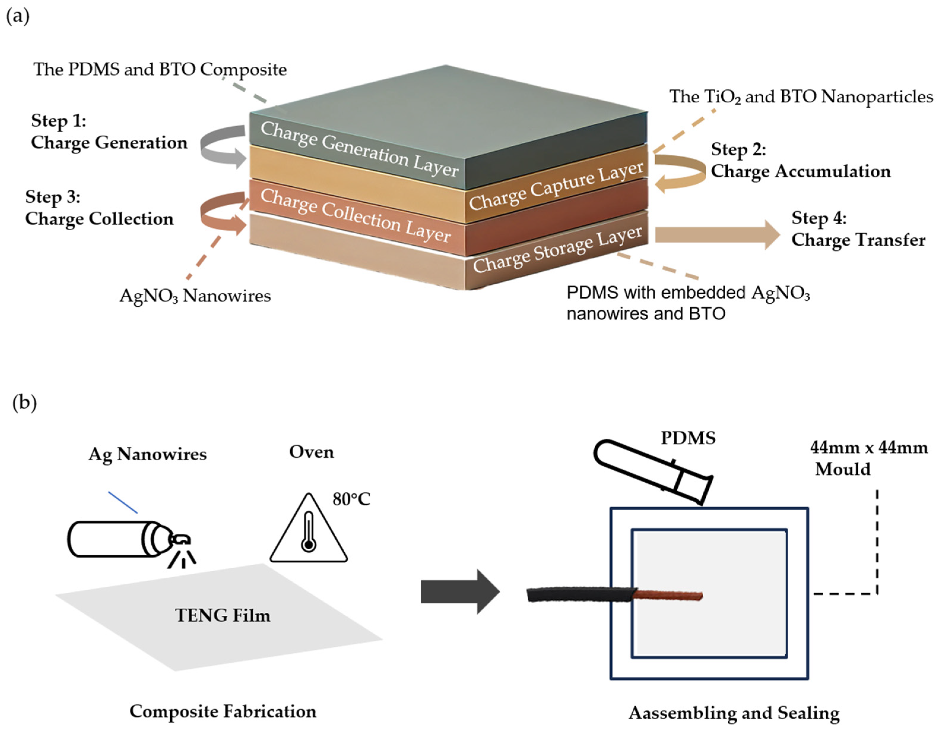 Biosensors 14 00532 g001