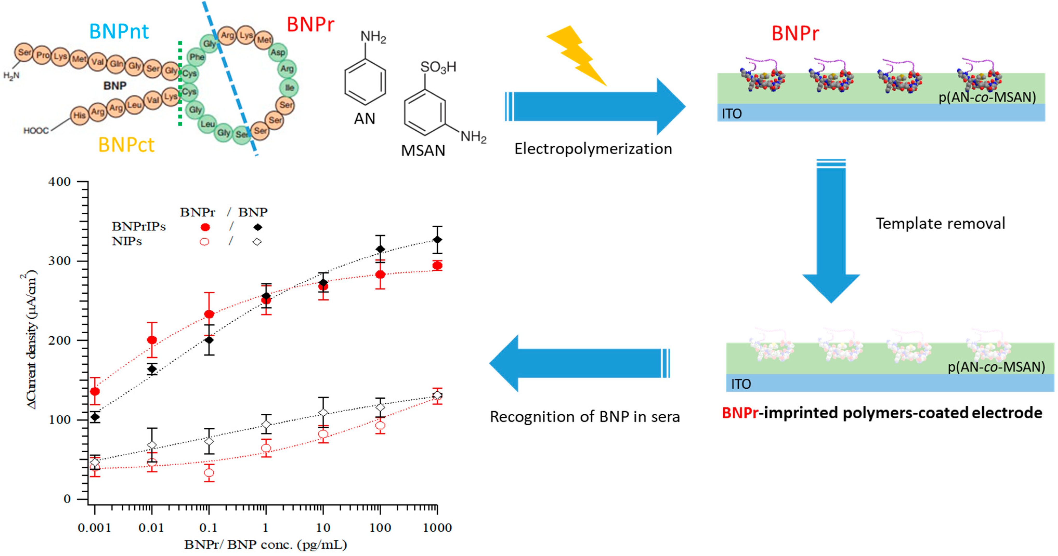 Biosensors 14 00533 sch001
