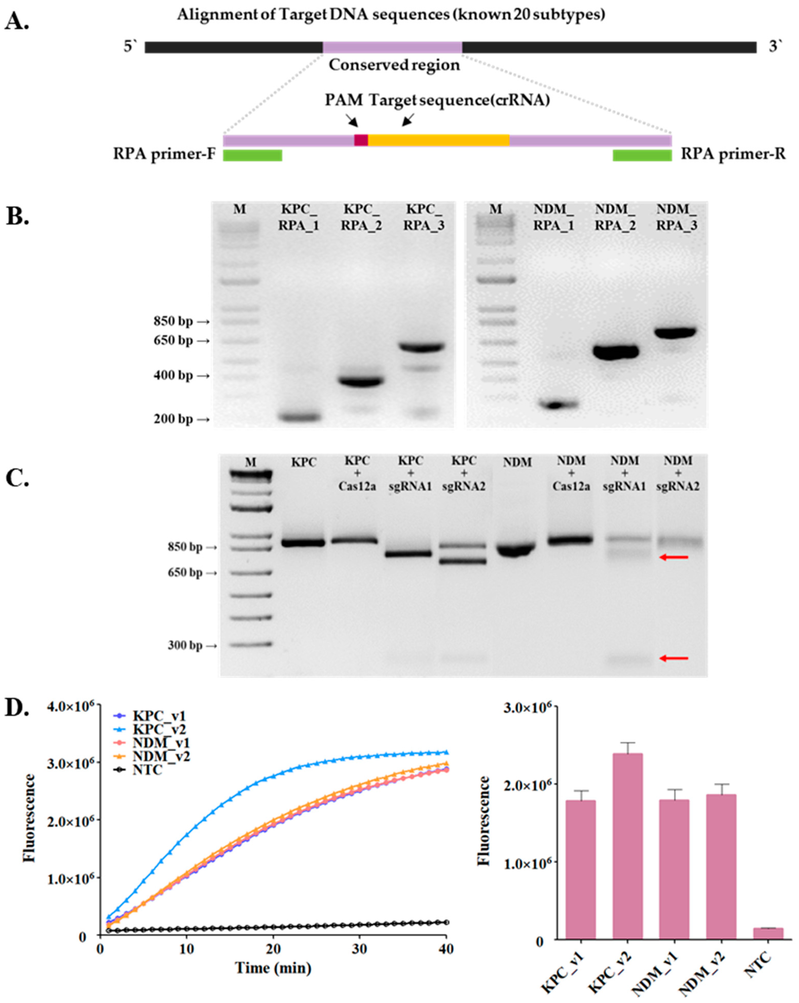 Biosensors 14 00536 g002