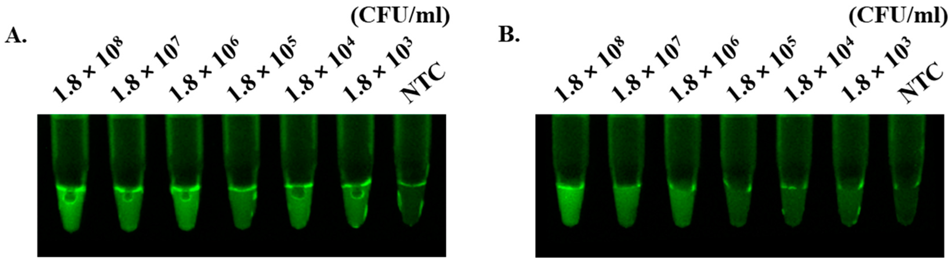 Biosensors 14 00536 g005