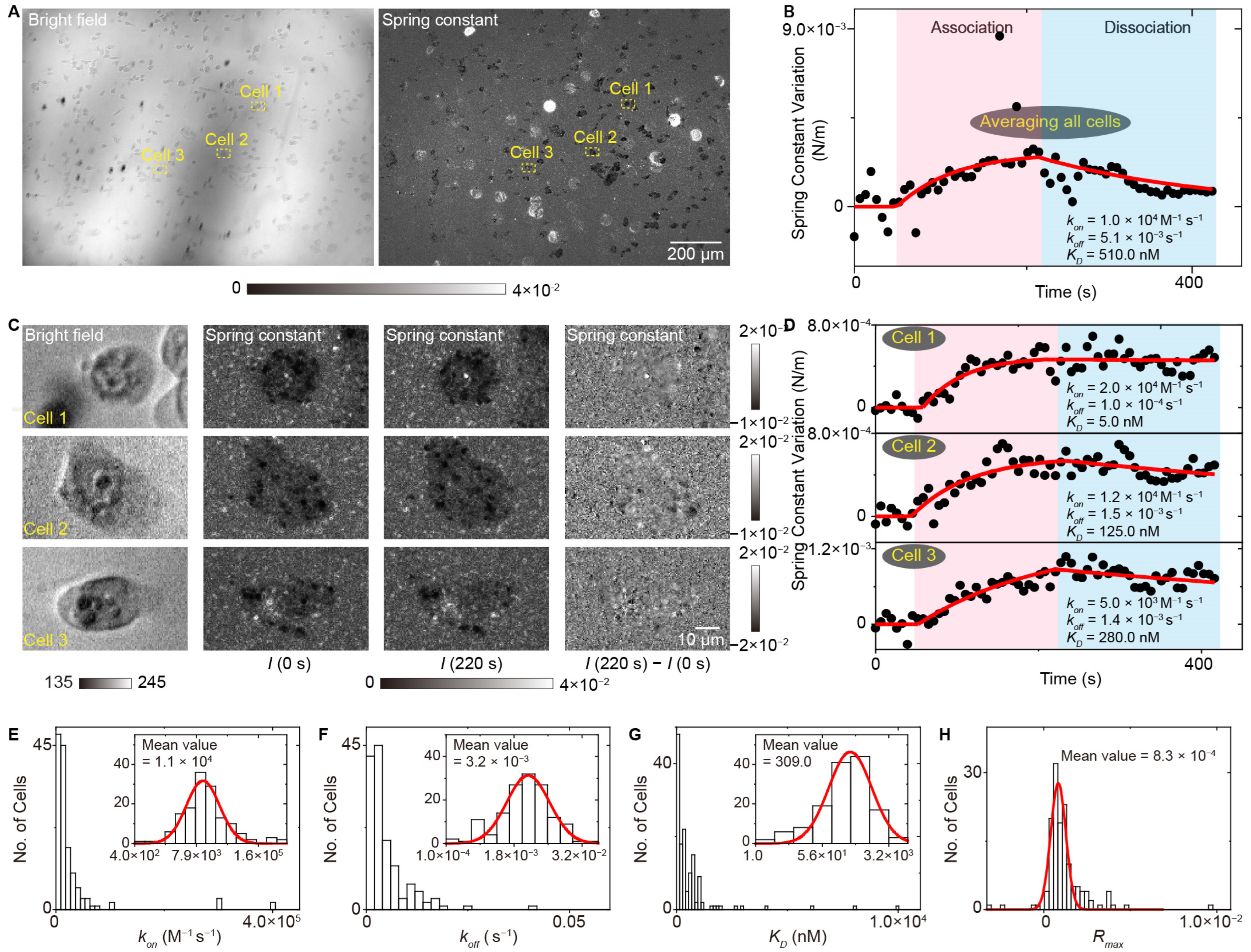 Biosensors 14 00537 g012